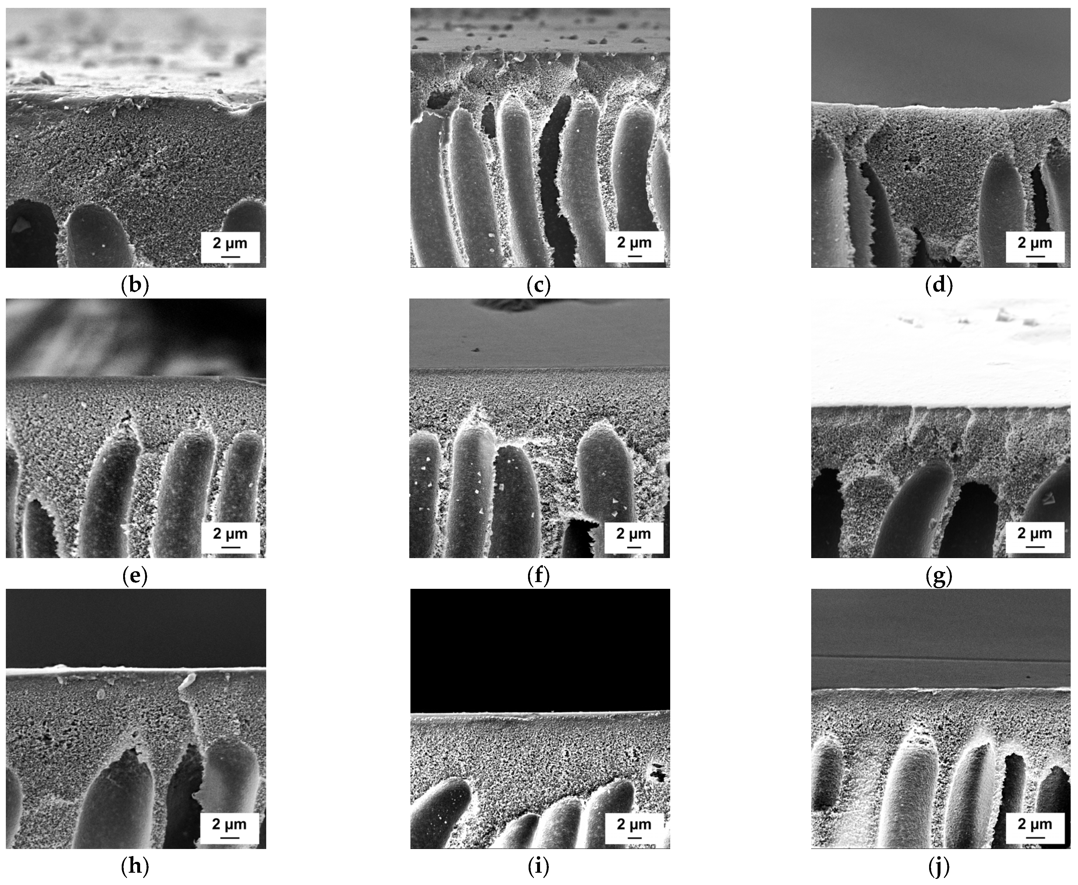 Polymers 15 01664 g003b Polymers 15 01664 g003b