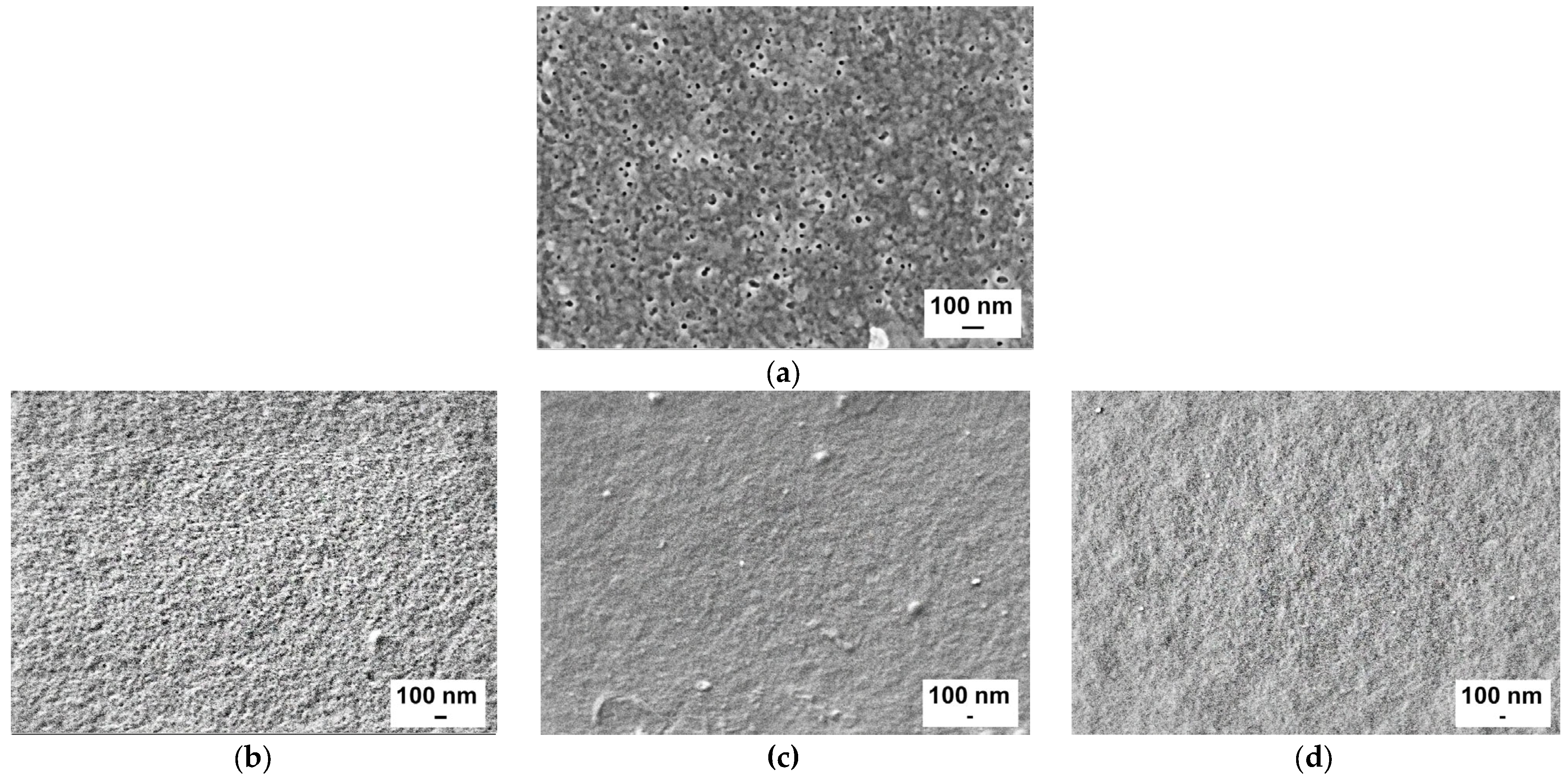 Polymers 15 01664 g004a Polymers 15 01664 g004a