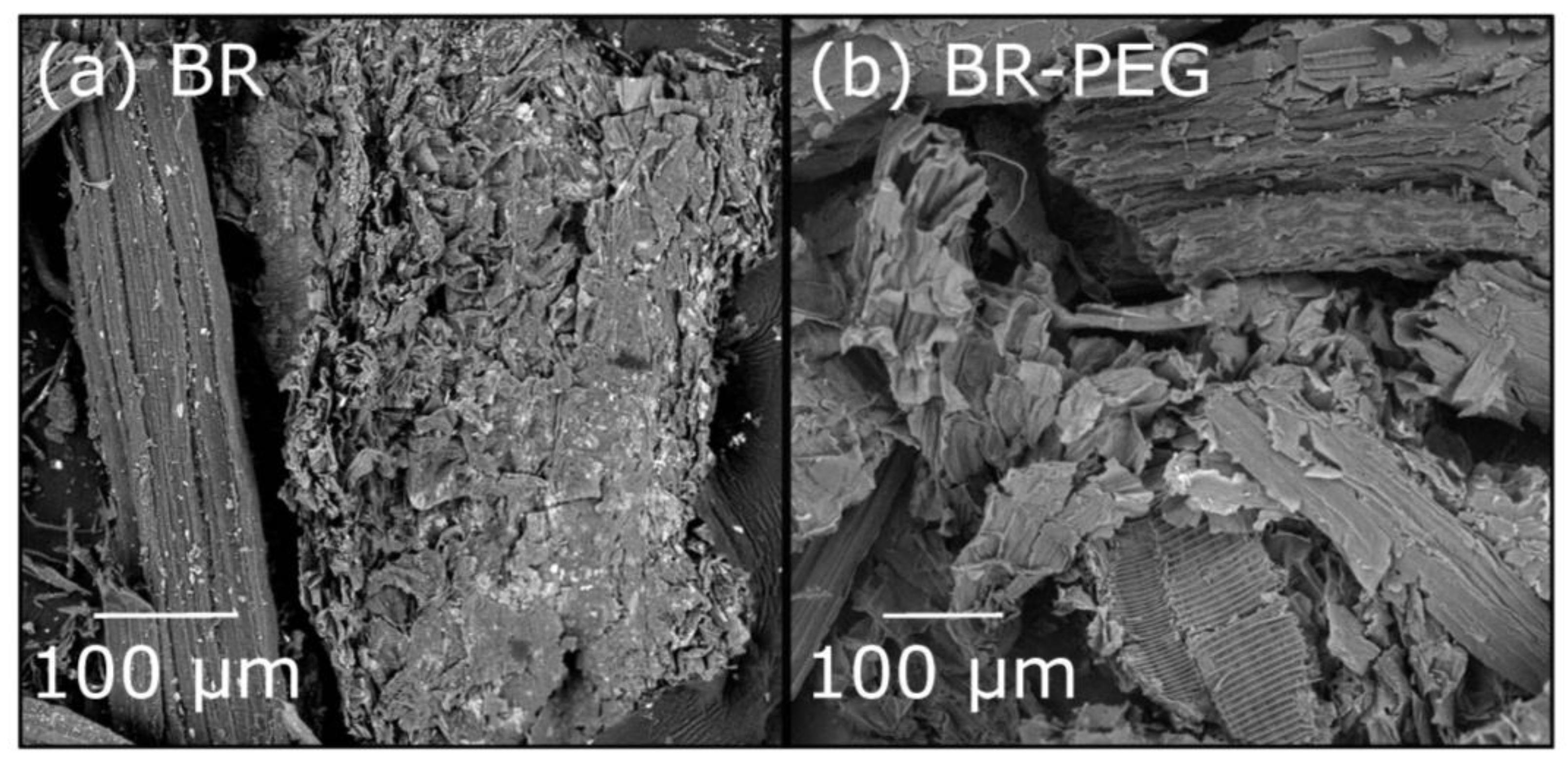Polymers 15 01666 g001