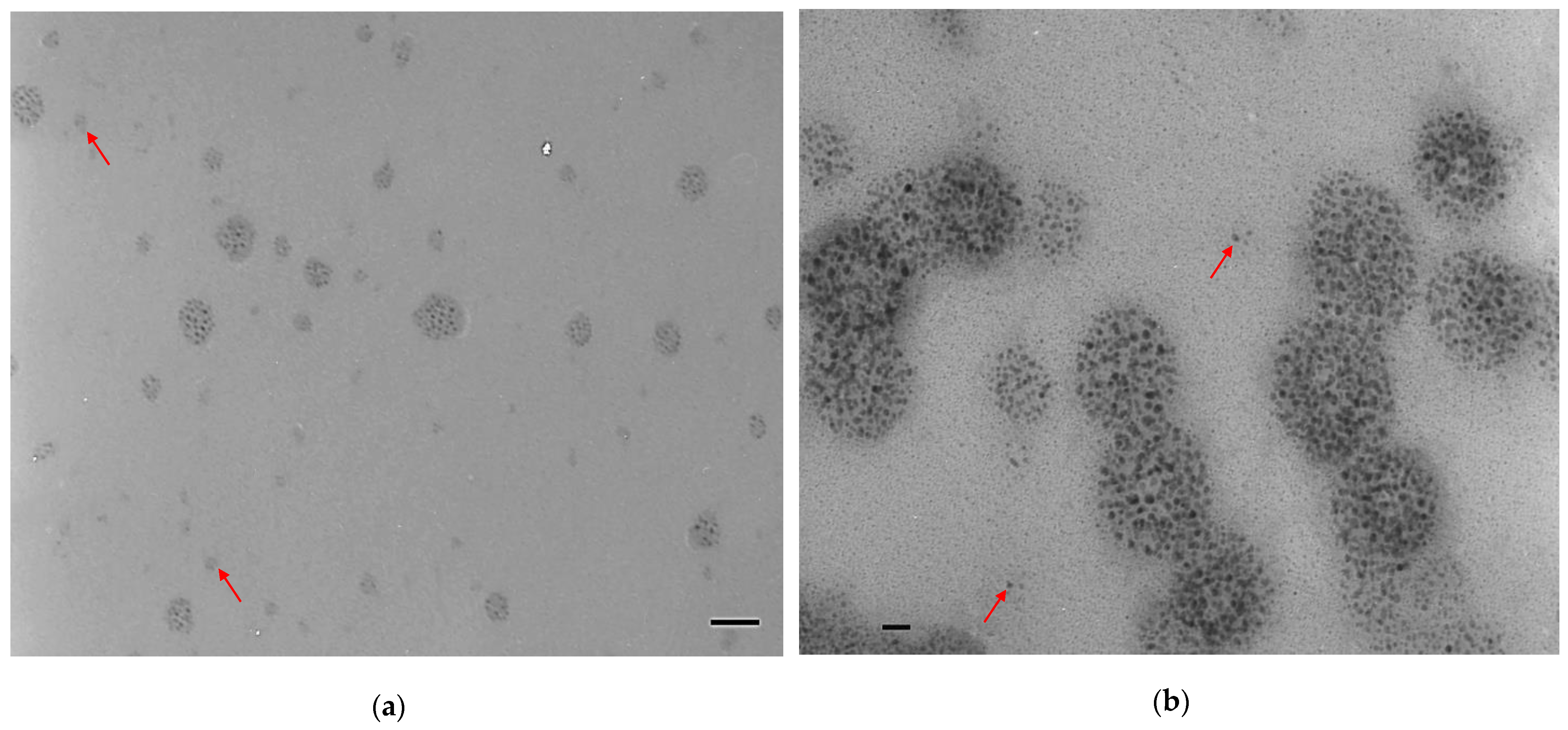 Polymers 15 01671 g008