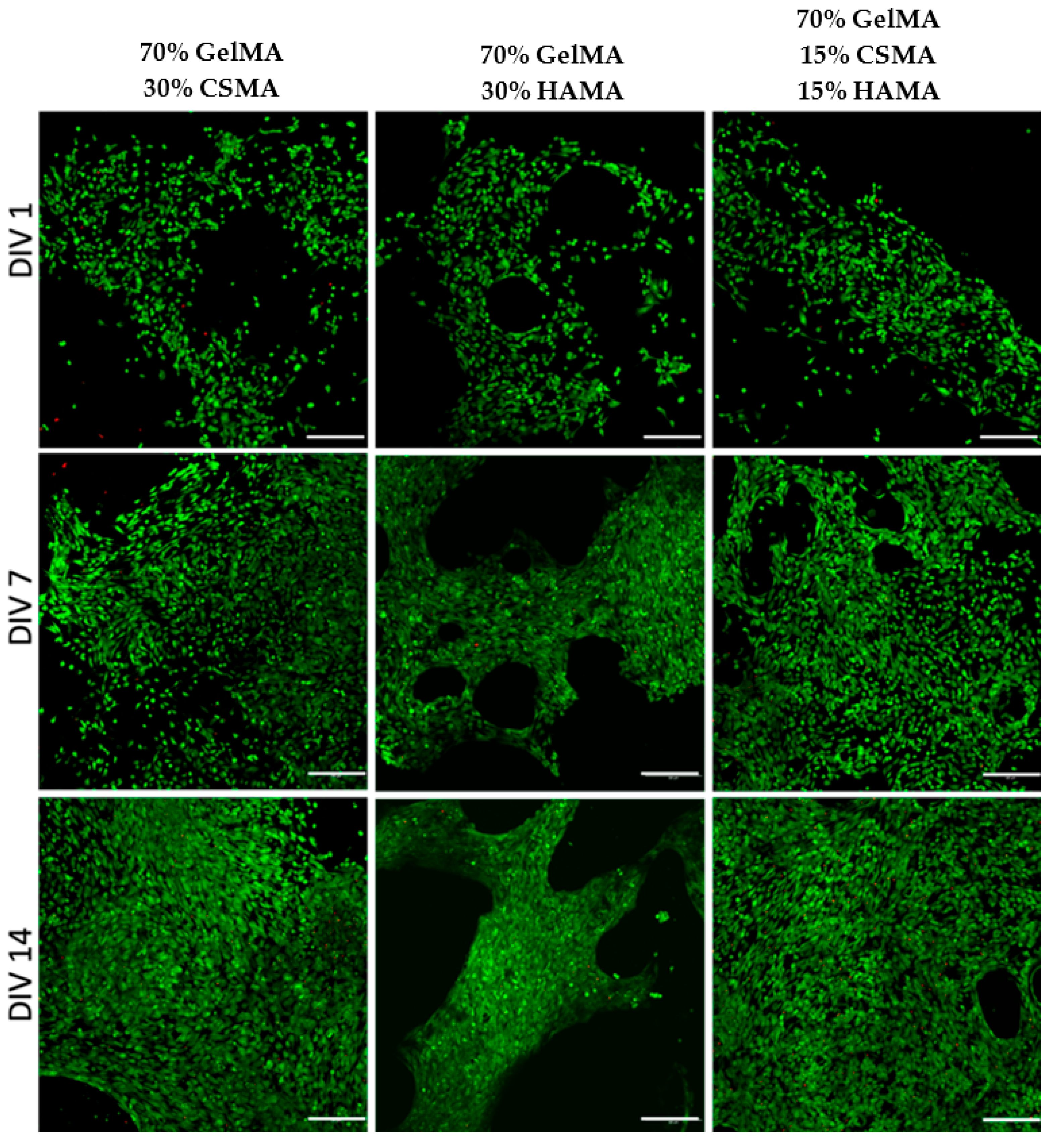 Polymers 15 01674 g008 Polymers 15 01674 g008