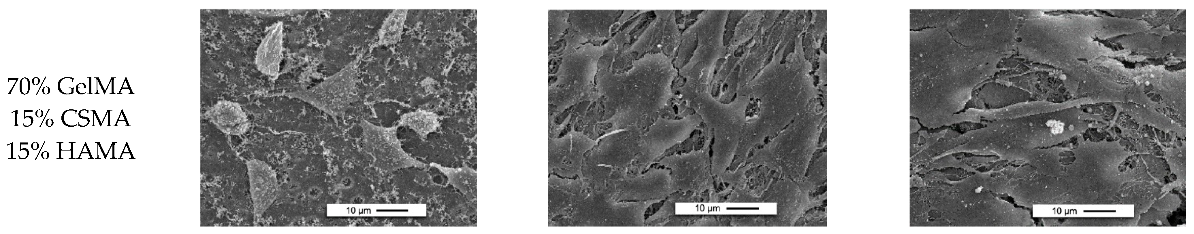 Polymers 15 01674 g010b Polymers 15 01674 g010b