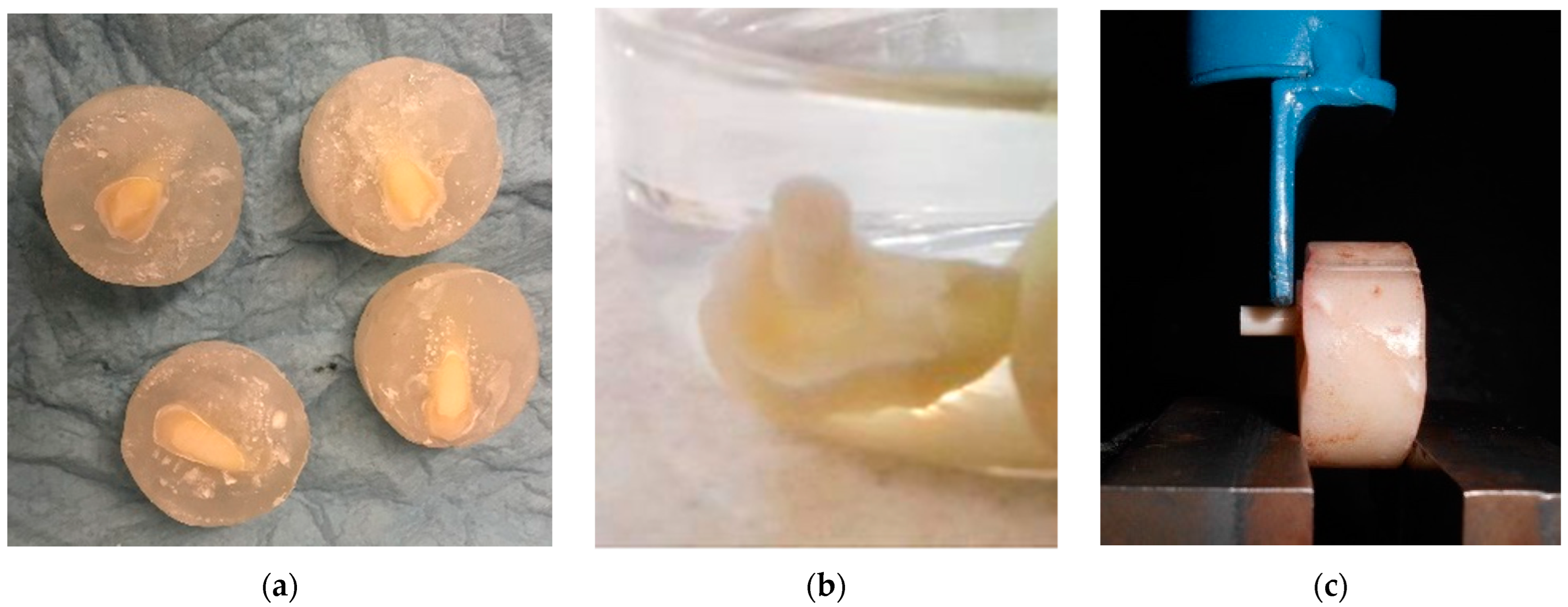 Polymers 15 01676 g001
