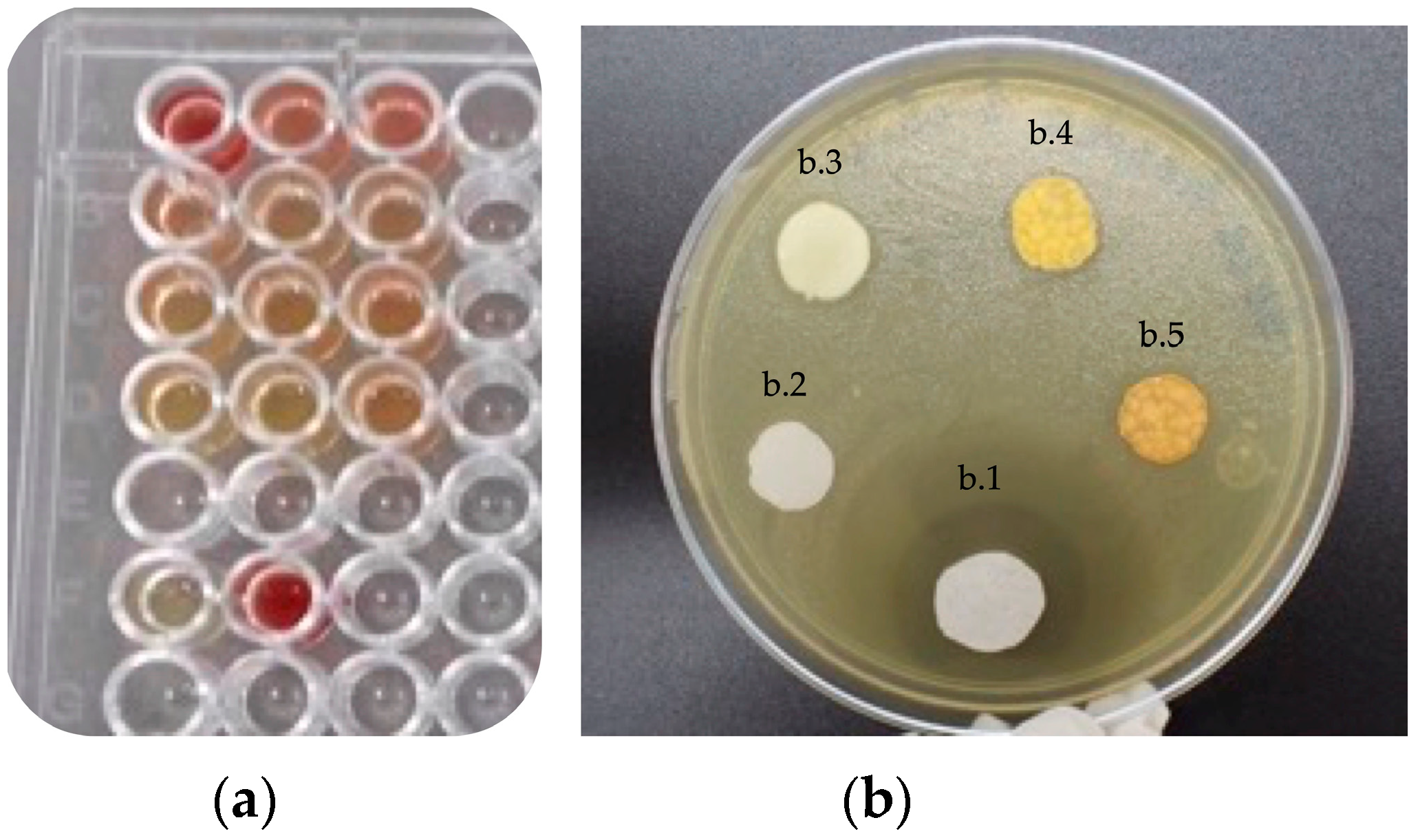 Polymers 15 01676 g004