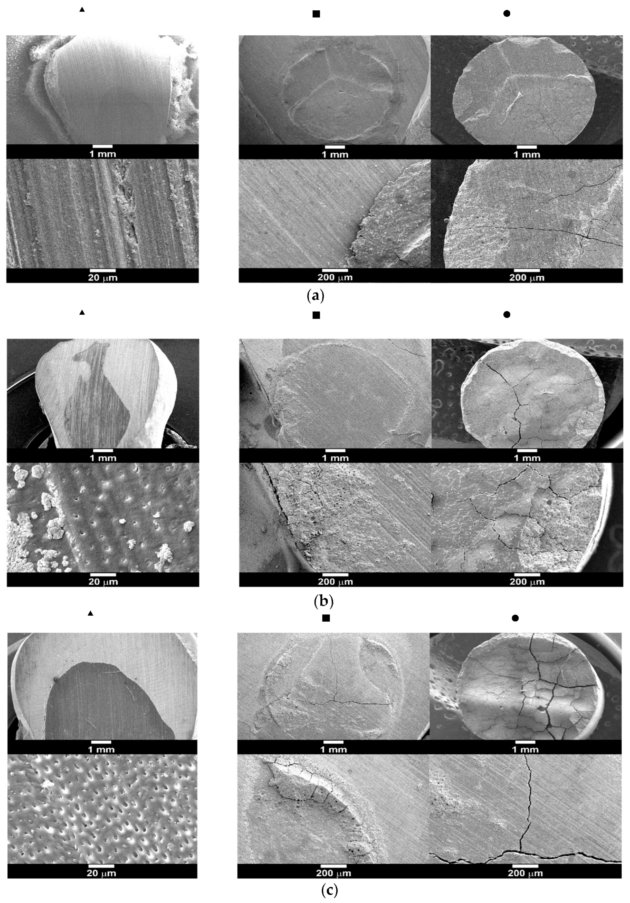 Polymers 15 01676 g006