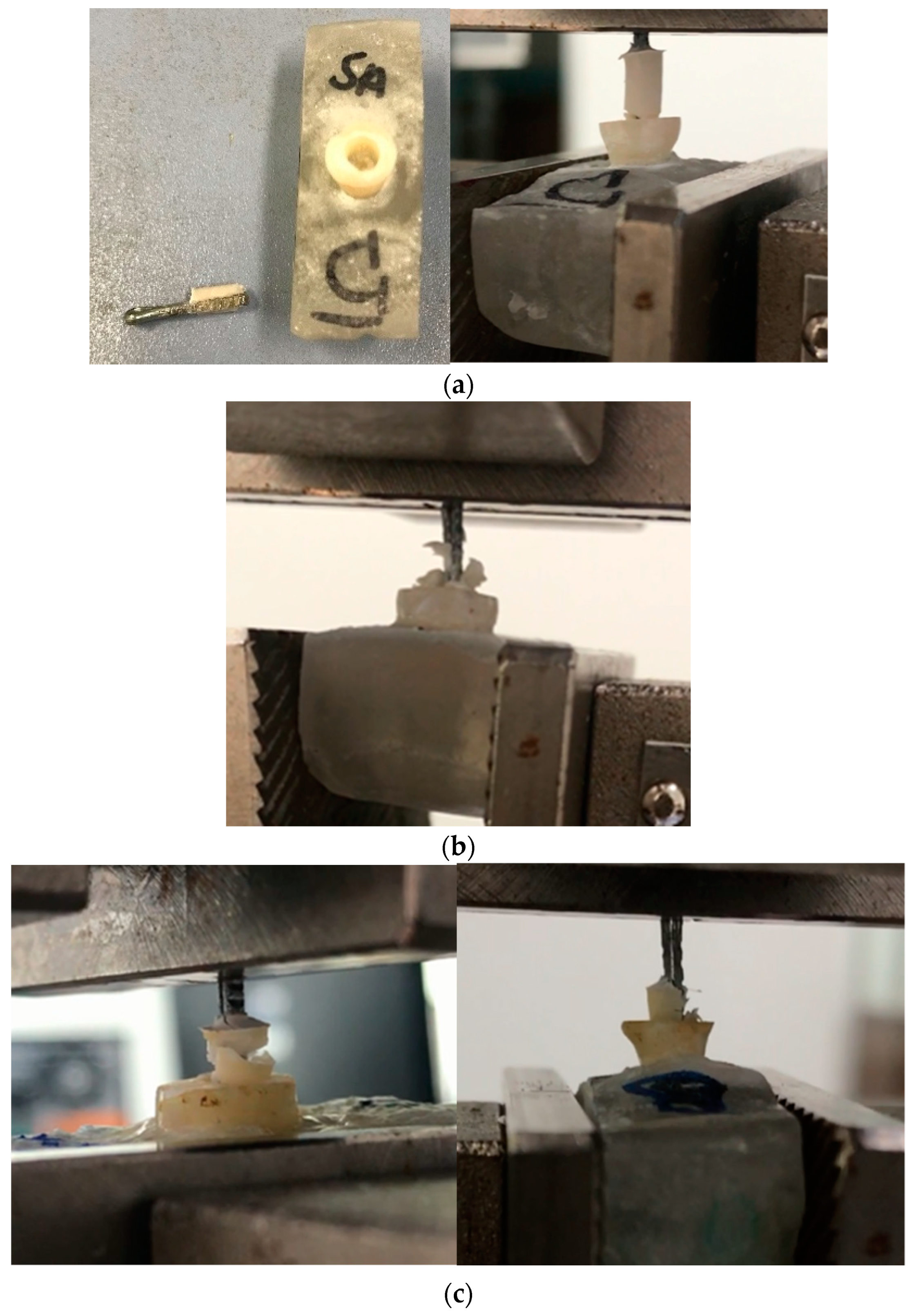 Polymers 15 01676 g007