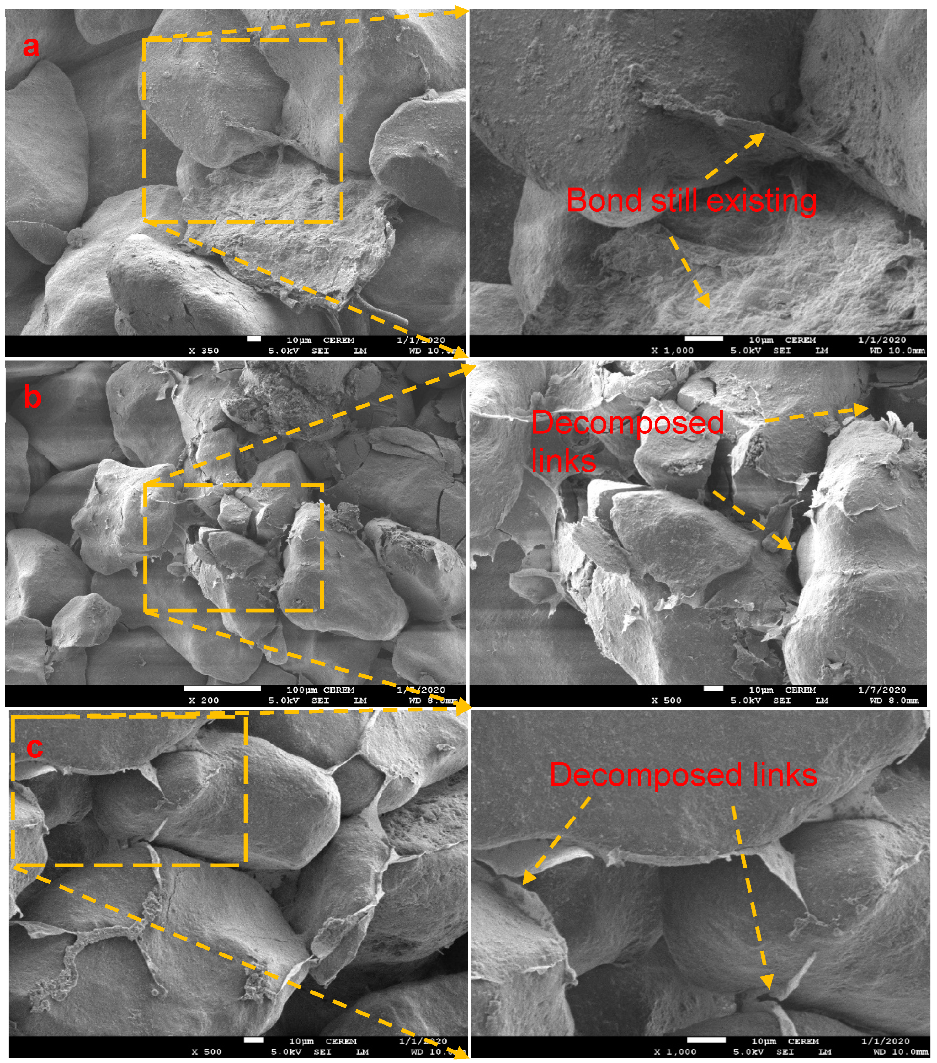 Polymers 15 01678 g011