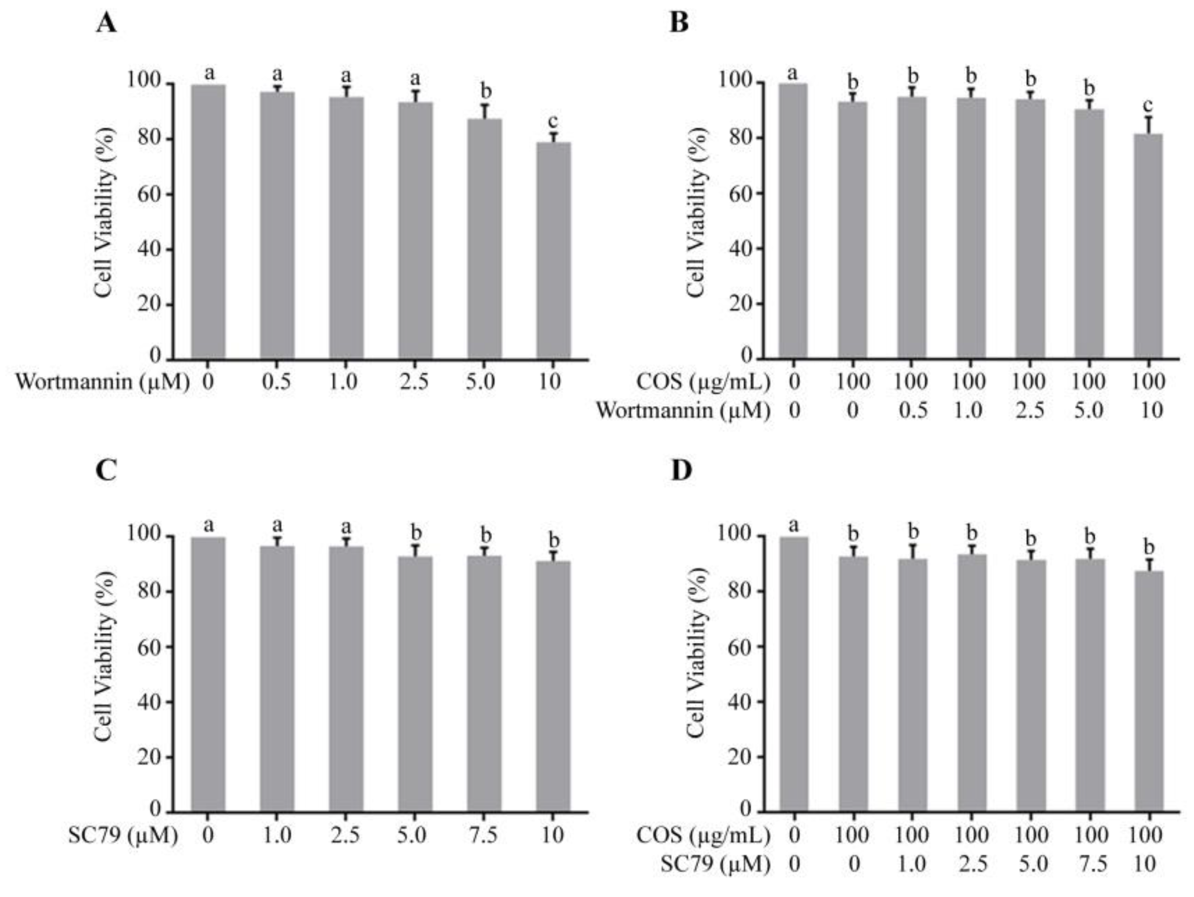 Polymers 15 01681 g001 Polymers 15 01681 g001