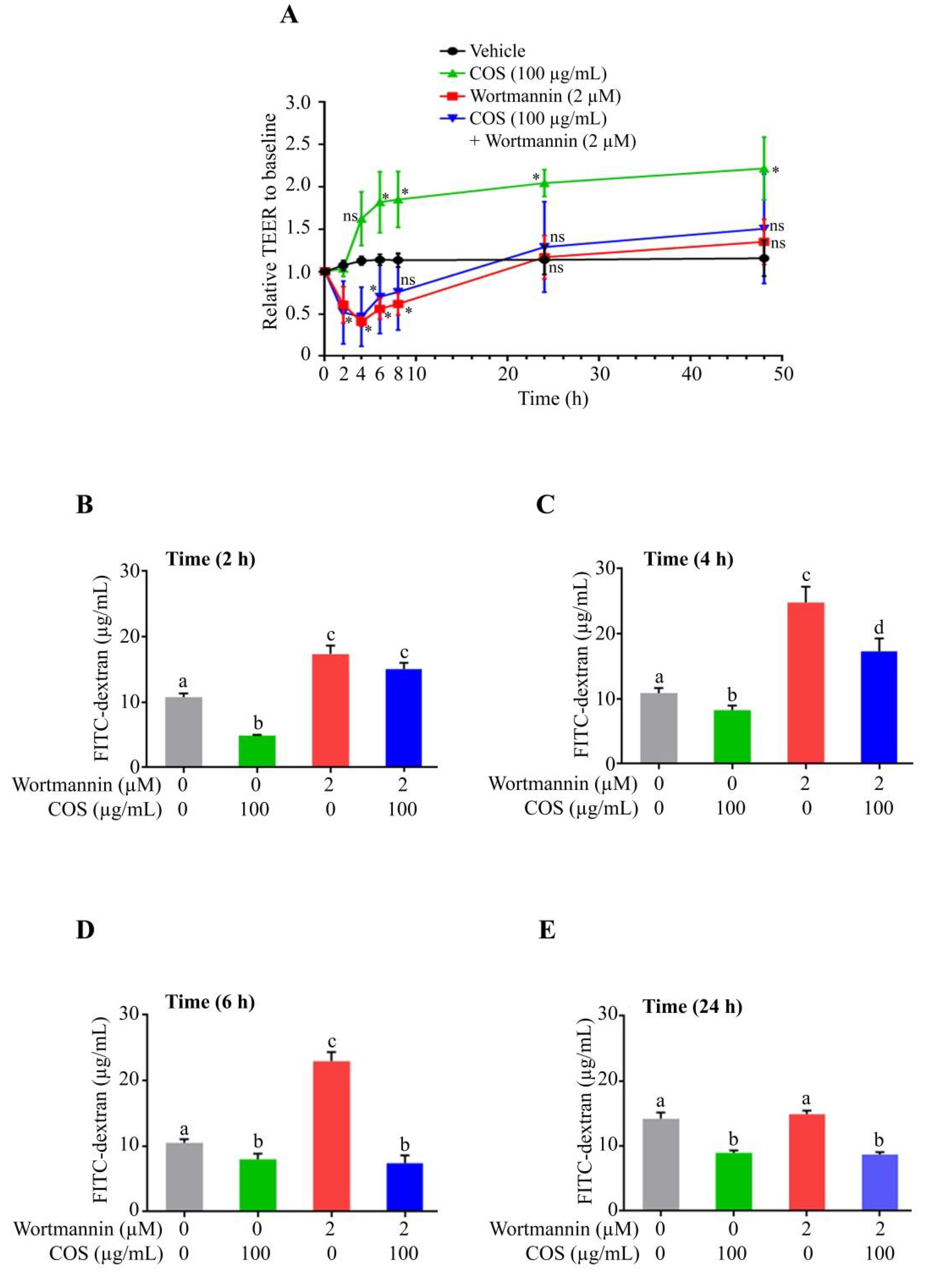 Polymers 15 01681 g002 Polymers 15 01681 g002