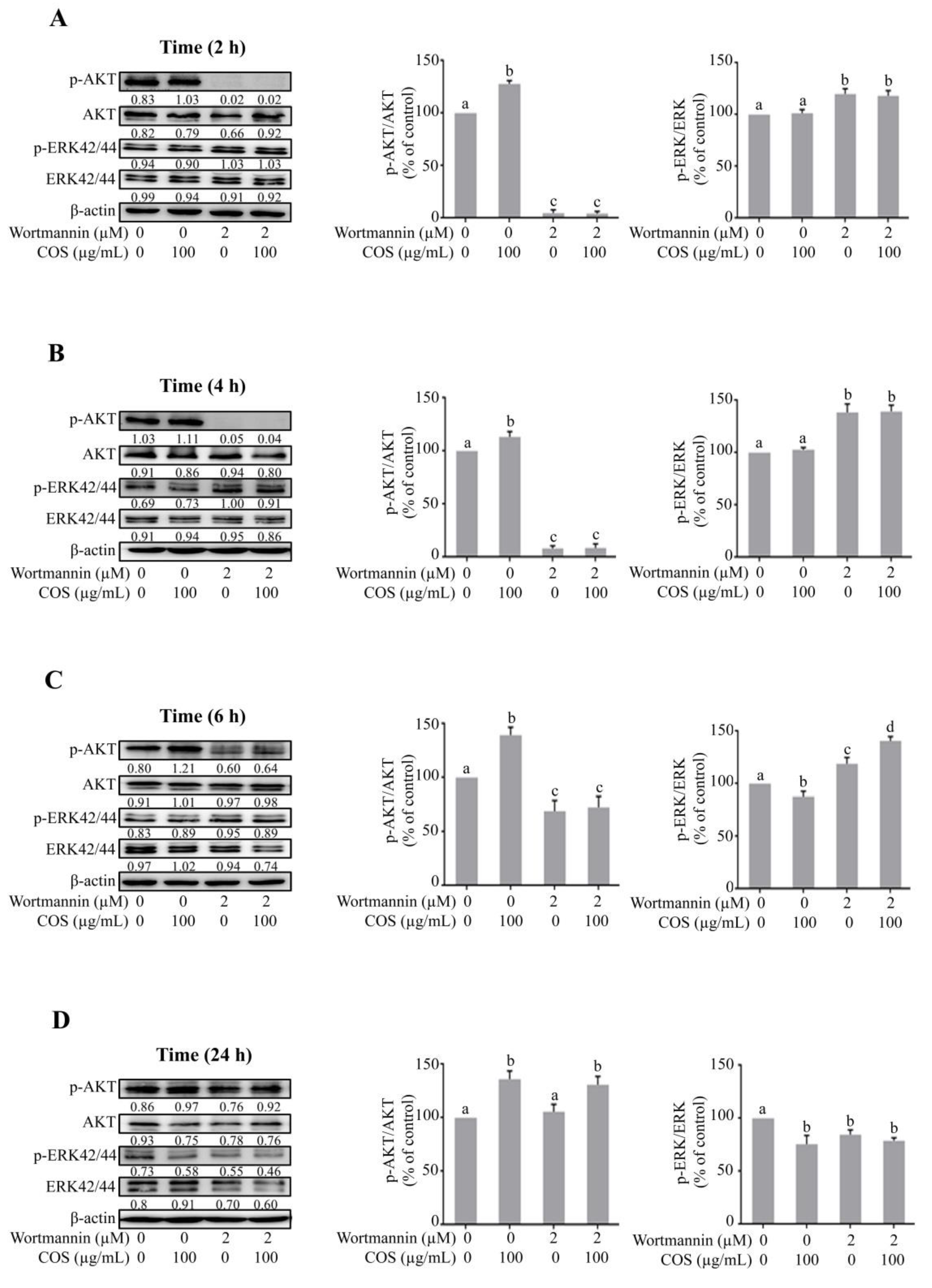 Polymers 15 01681 g004 Polymers 15 01681 g004