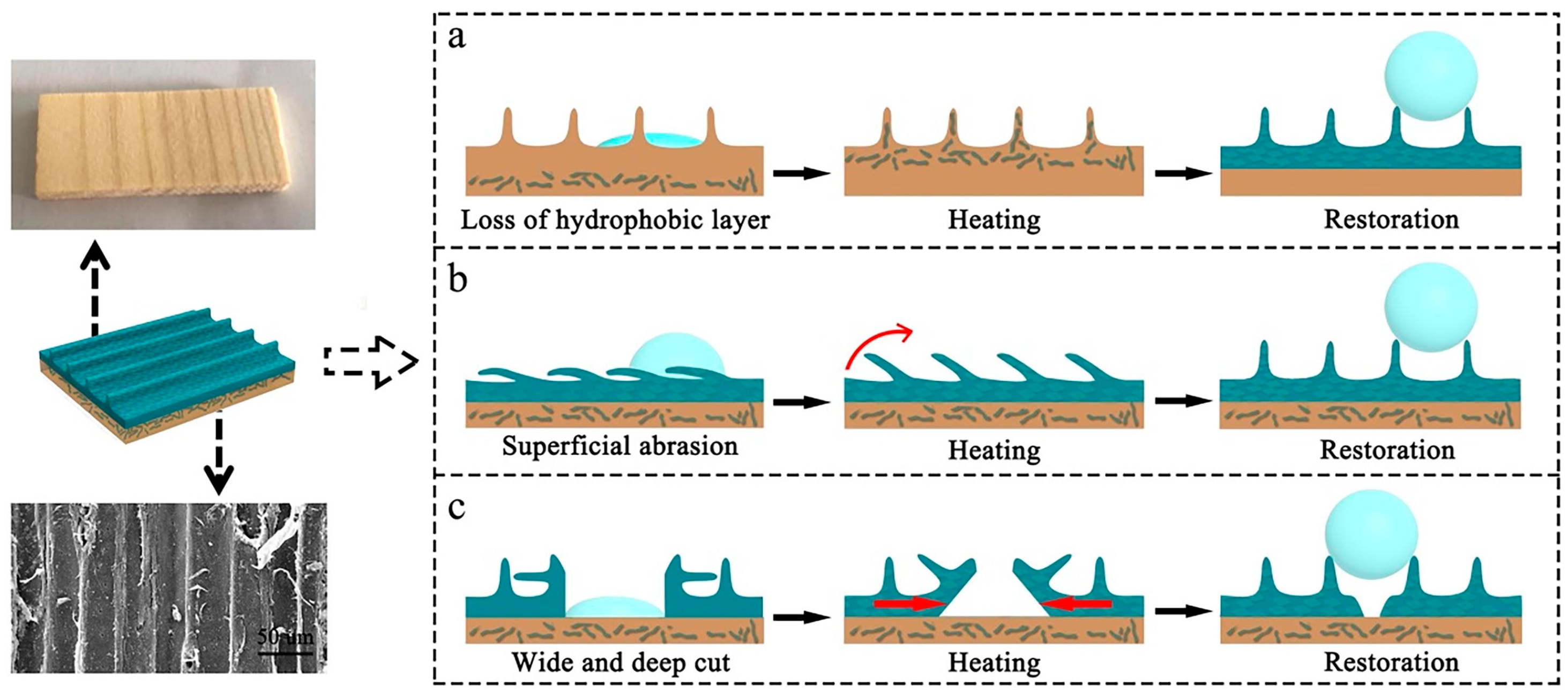 Polymers 15 01682 g008