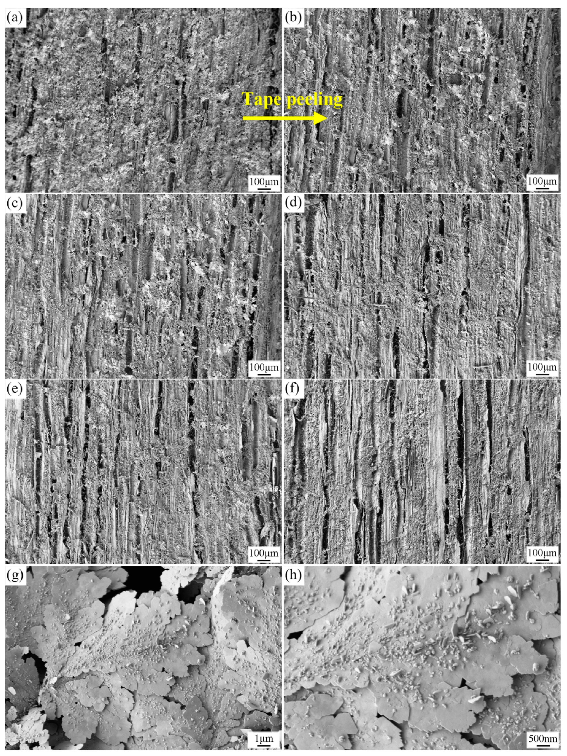 Polymers 15 01682 g011