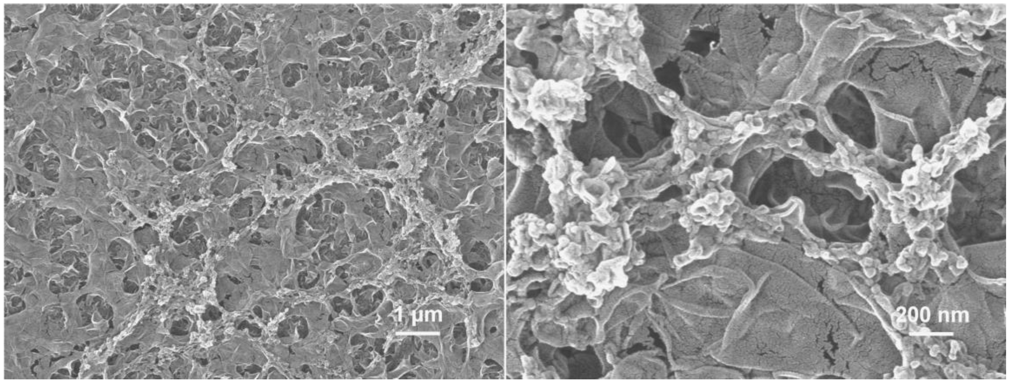 Polymers 15 01683 g005 Polymers 15 01683 g005