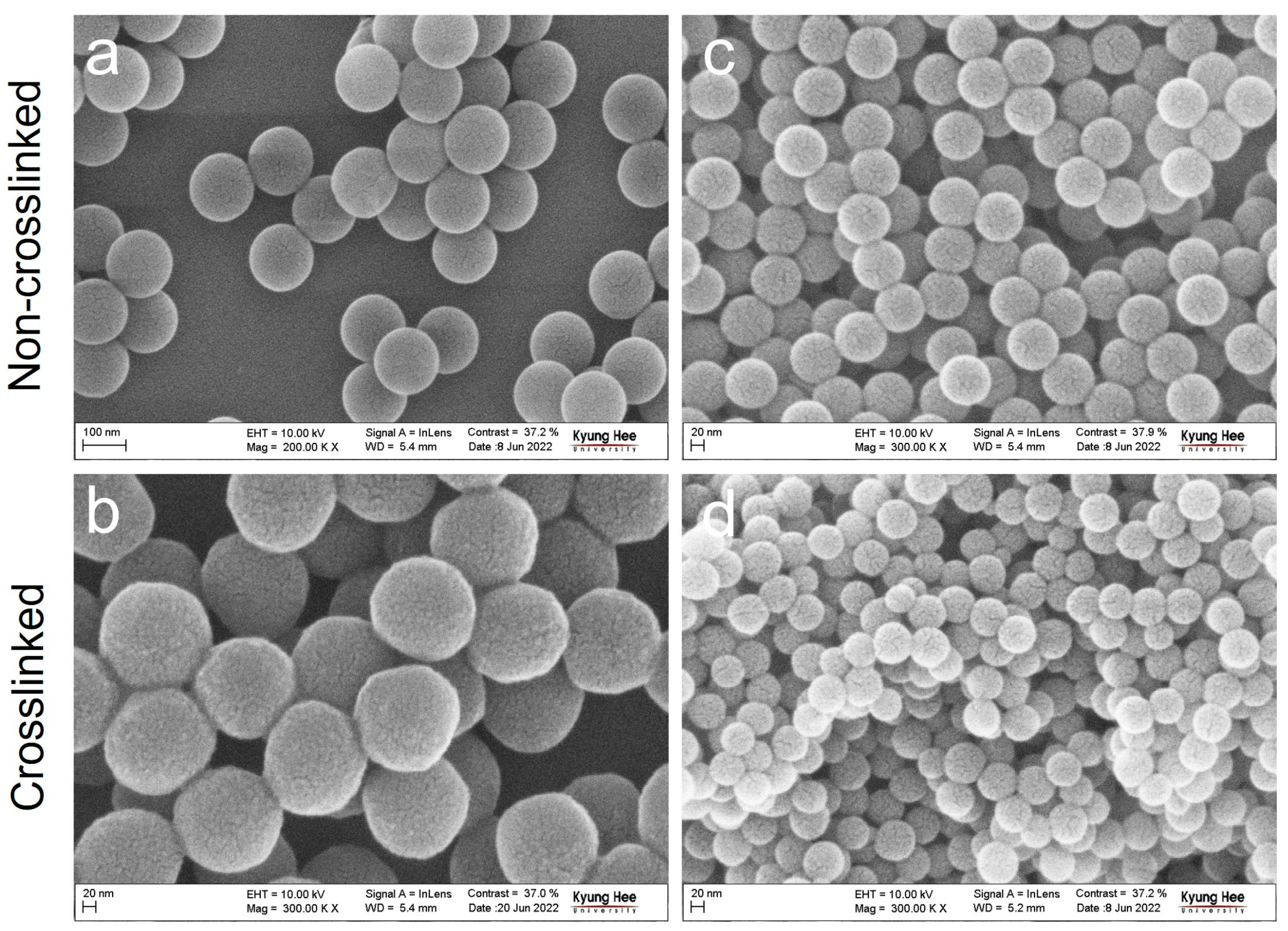 Polymers 15 01684 g002