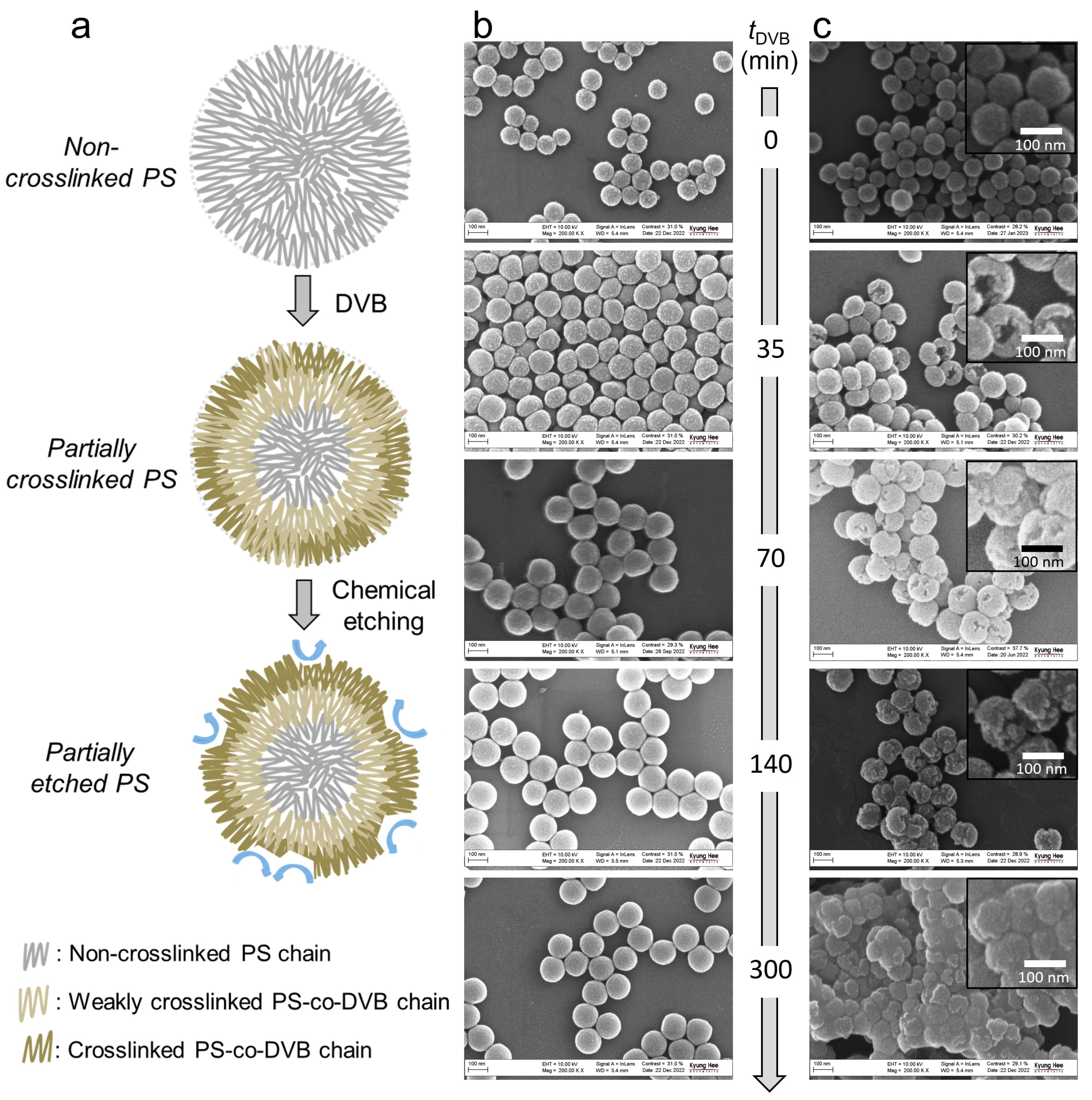 Polymers 15 01684 g003