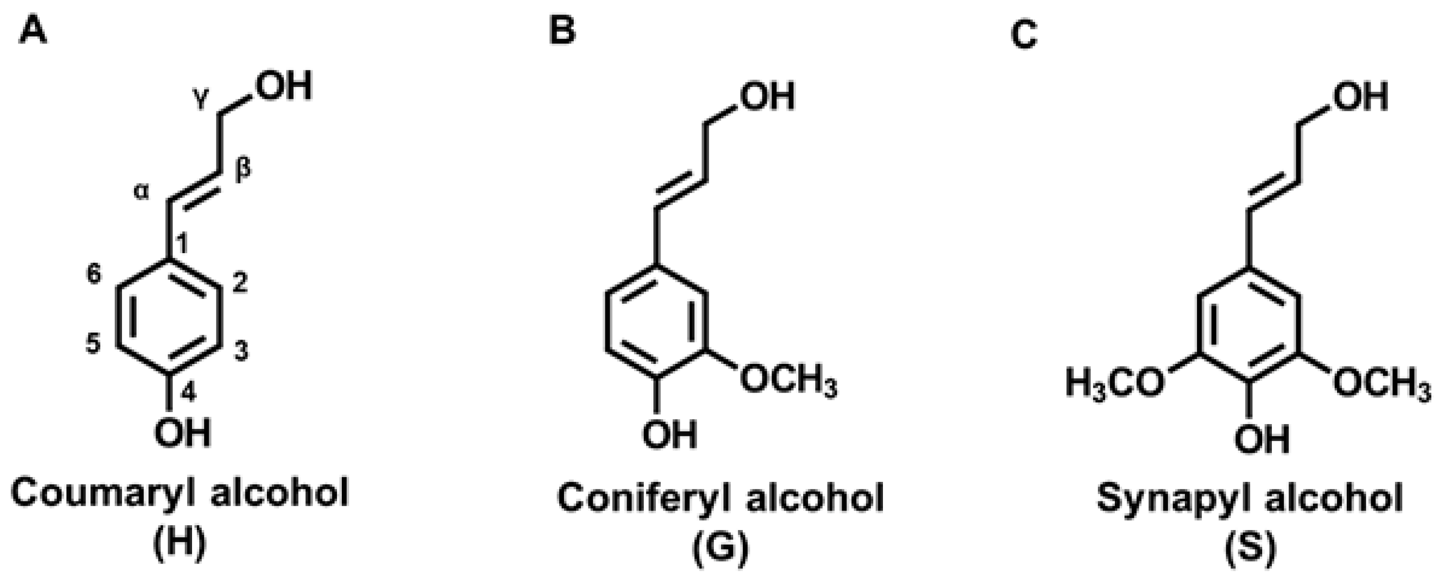 Sustainable Lignin-Based Coatings Doped with Titanium Dioxide