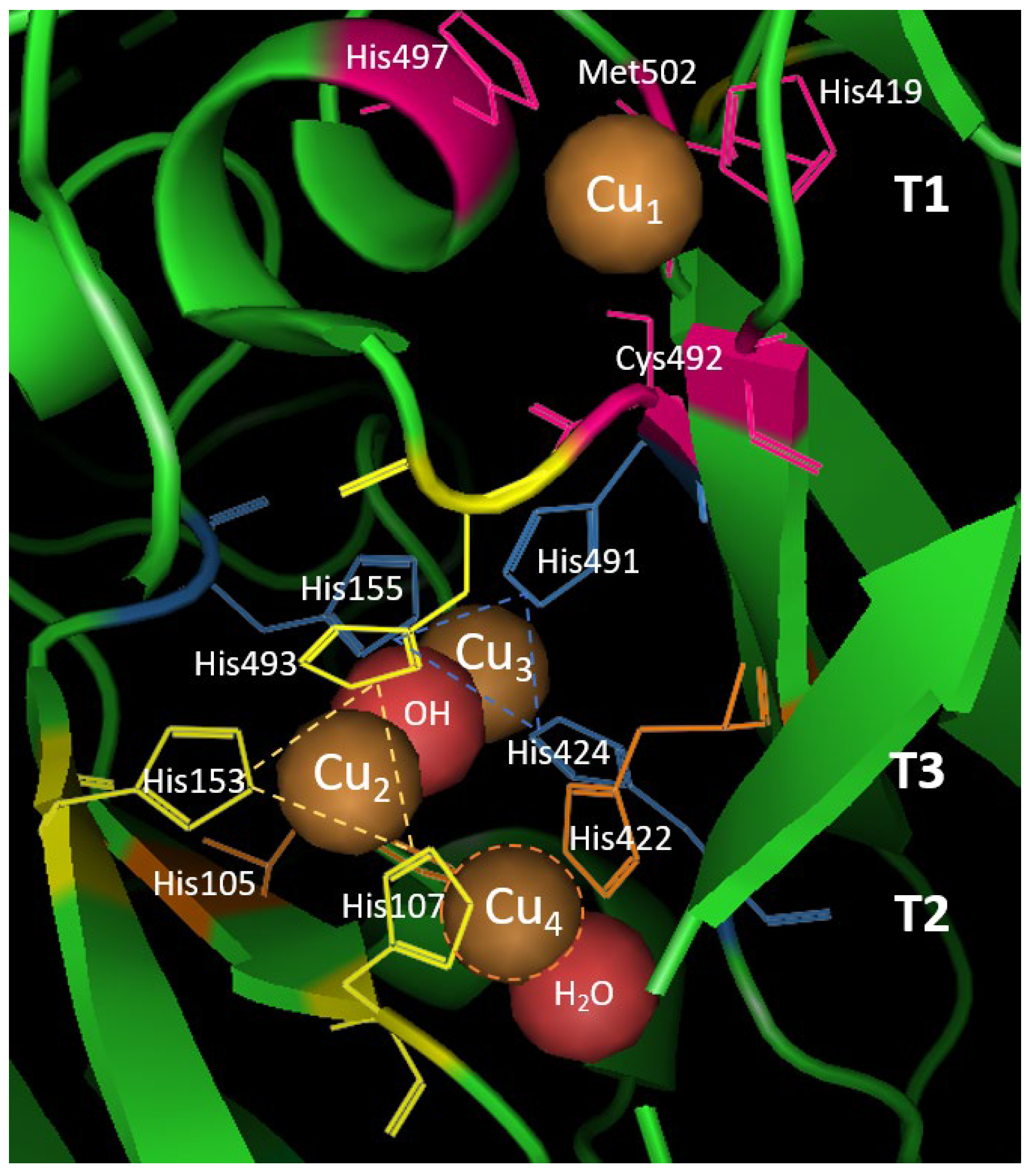 Polymers 15 01694 g003