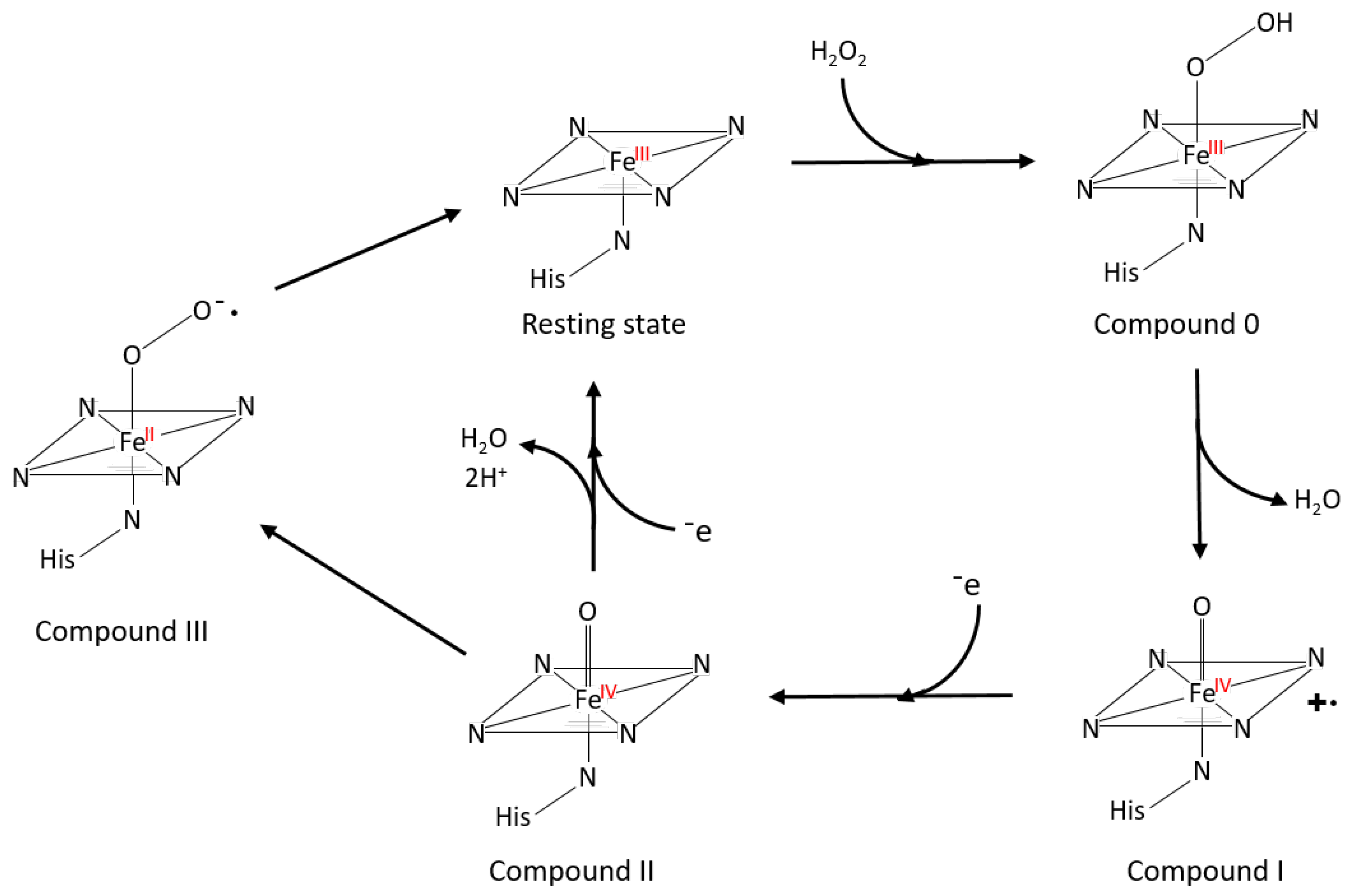 Polymers 15 01694 g004