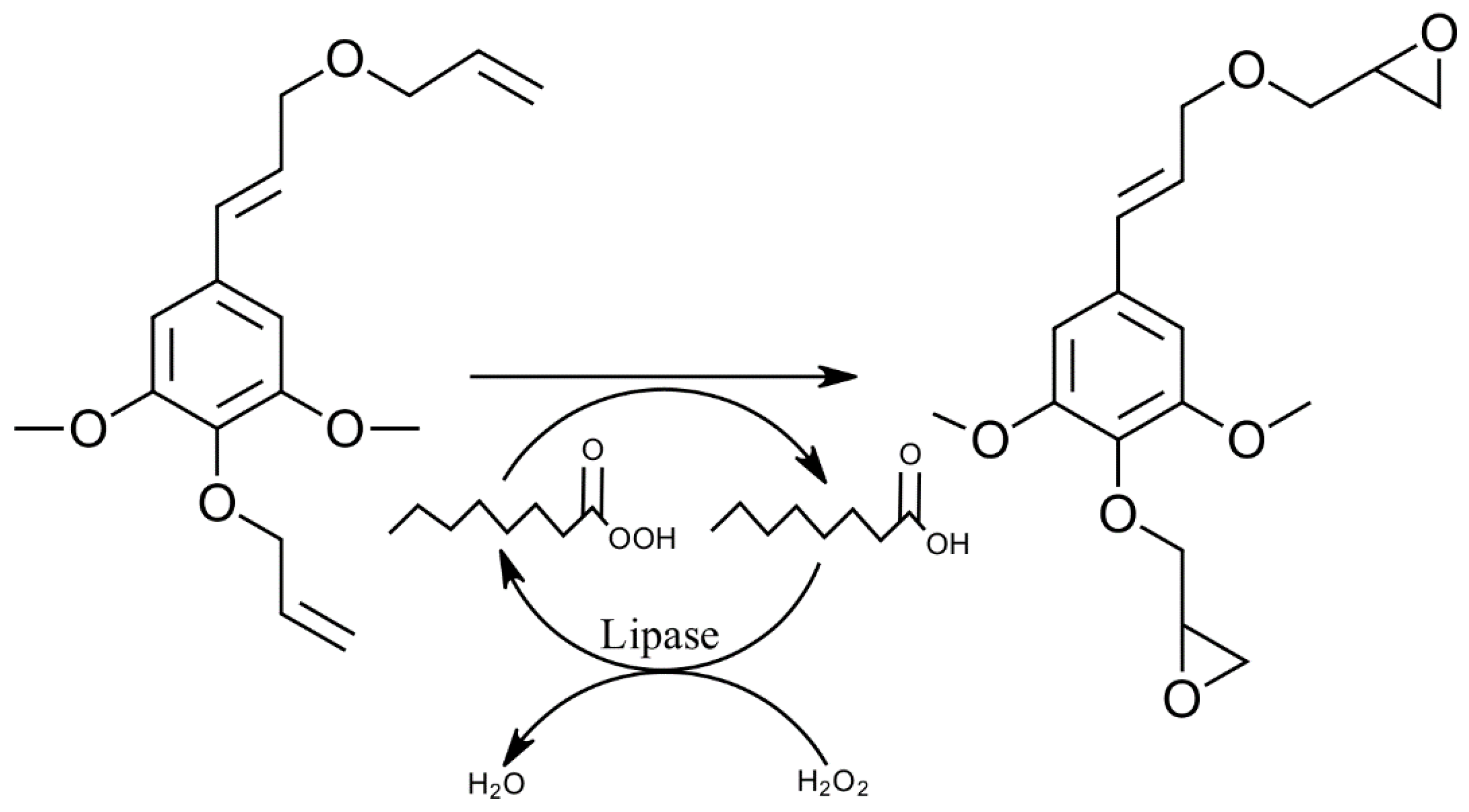 Polymers 15 01694 g005
