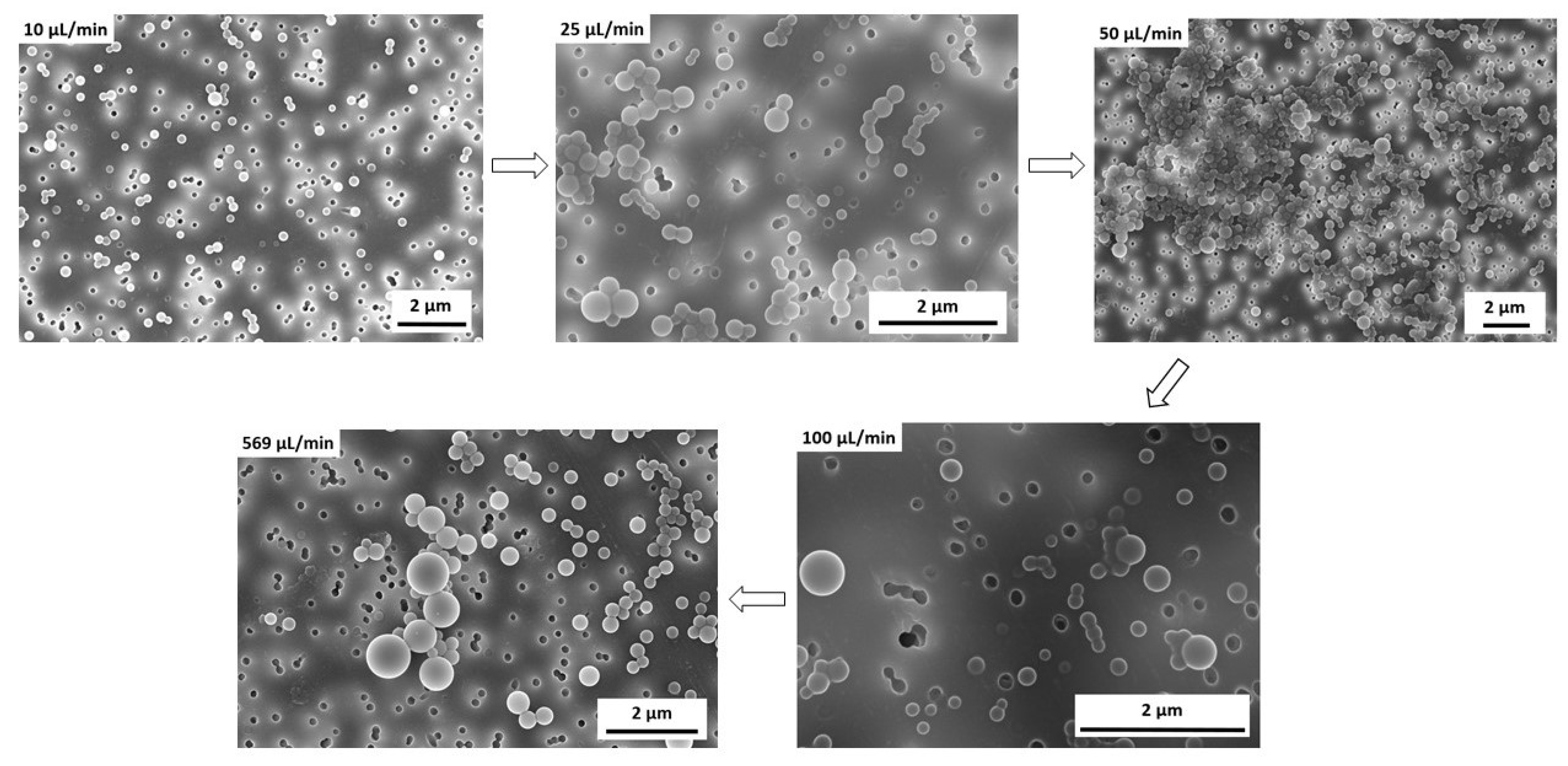 Polymers 15 01695 g006