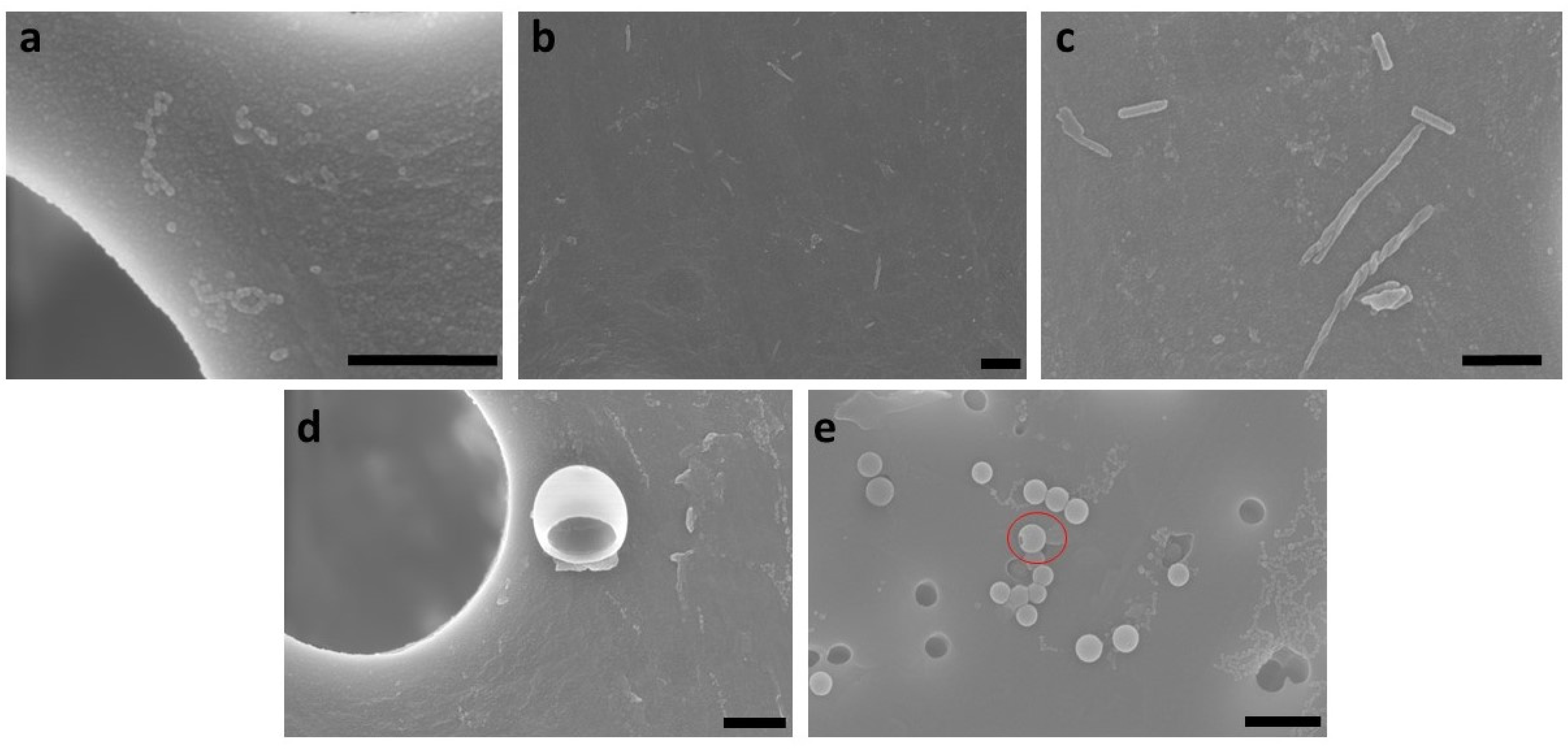 Polymers 15 01695 g011