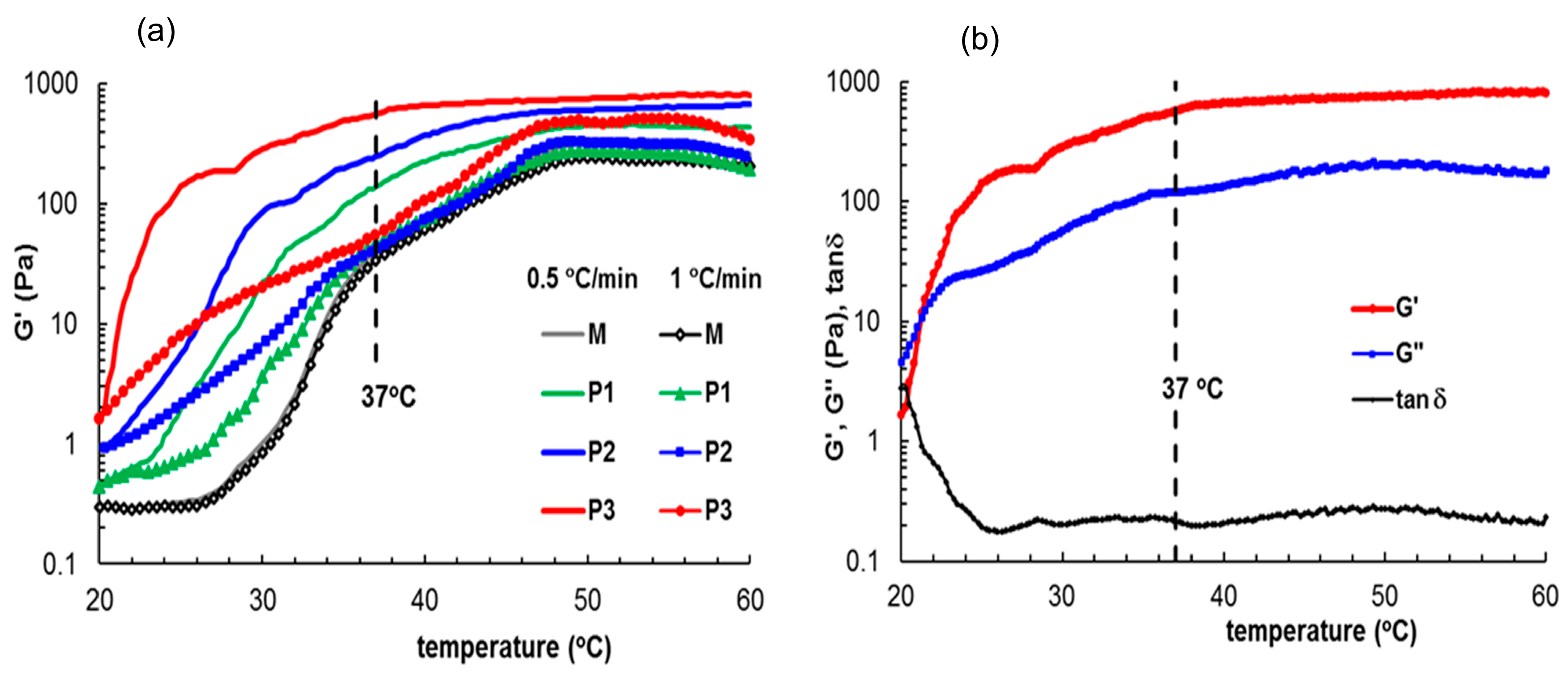 Polymers 15 01697 g006
