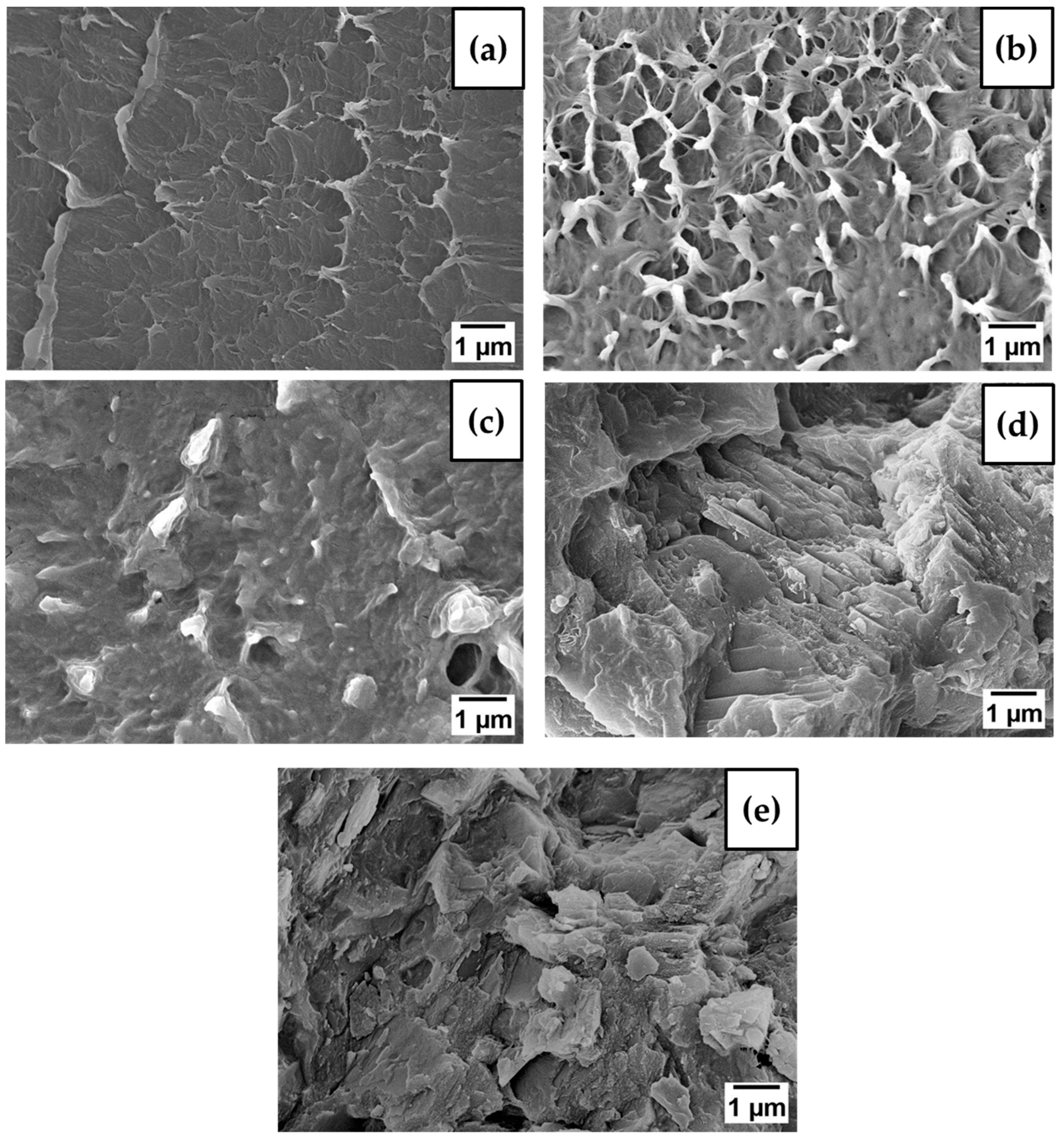 Polymers 15 01702 g009