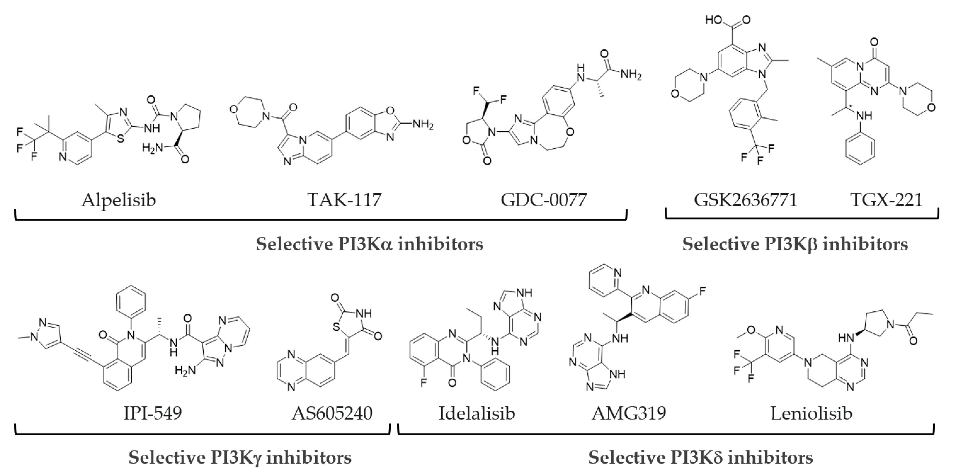 Polymers 15 01703 g002 Polymers 15 01703 g002