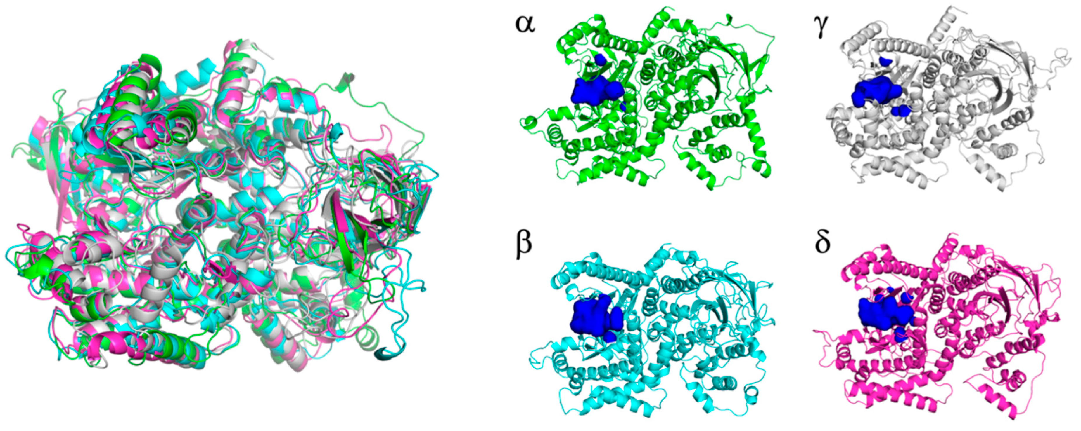 Polymers 15 01703 g004 Polymers 15 01703 g004