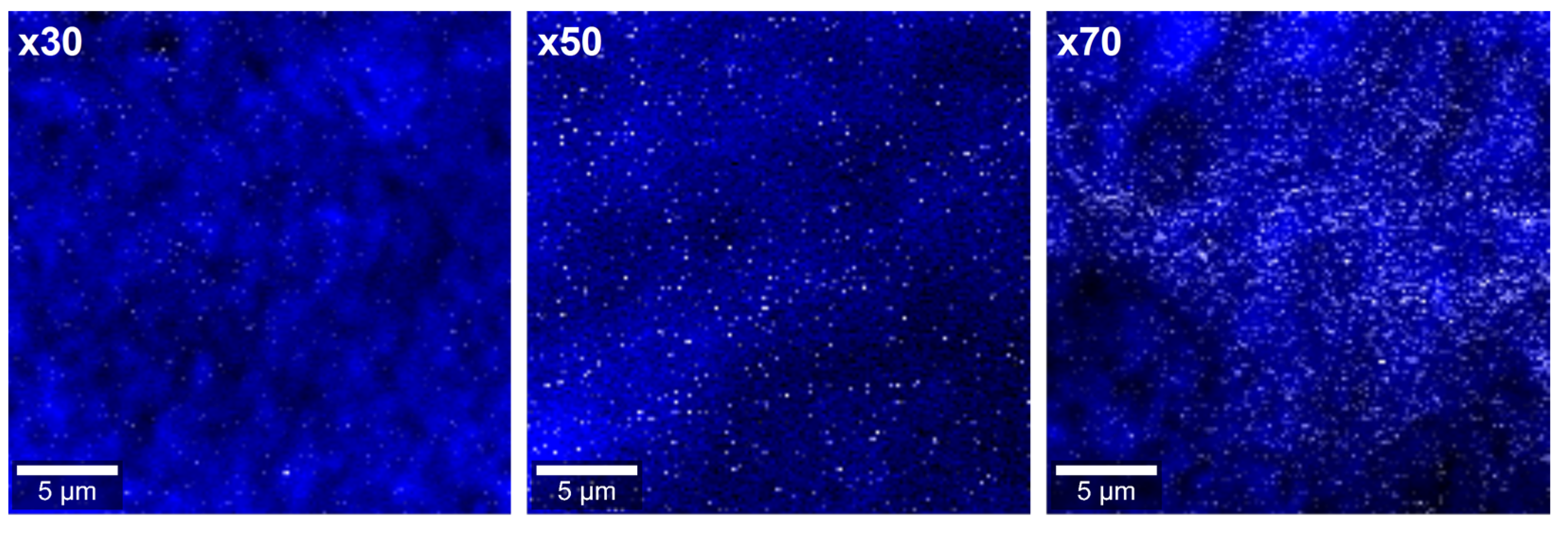 Polymers 15 01706 g002
