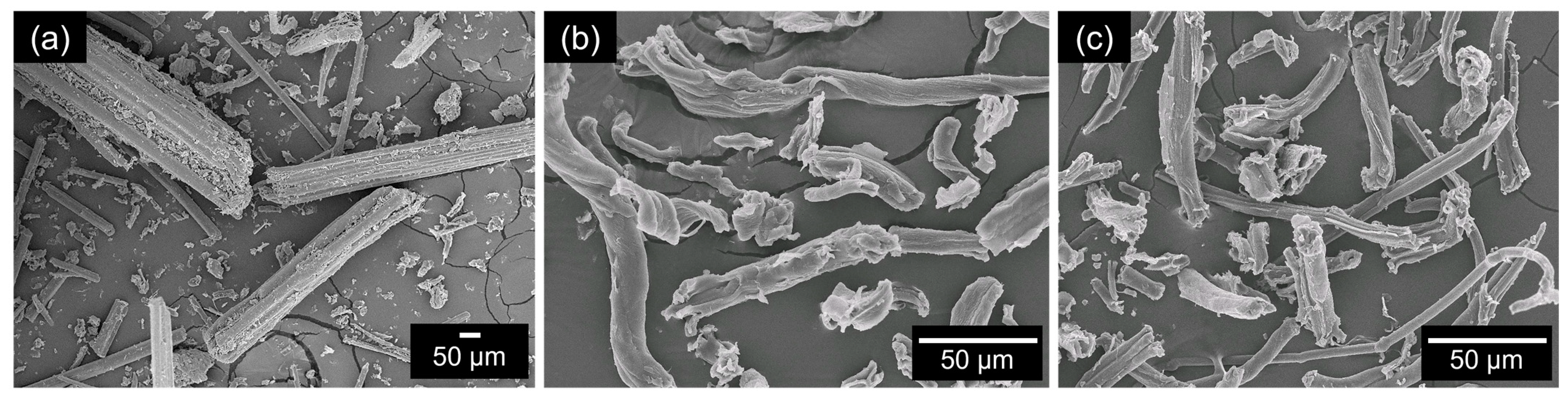 Polymers 15 01711 g002 Polymers 15 01711 g002