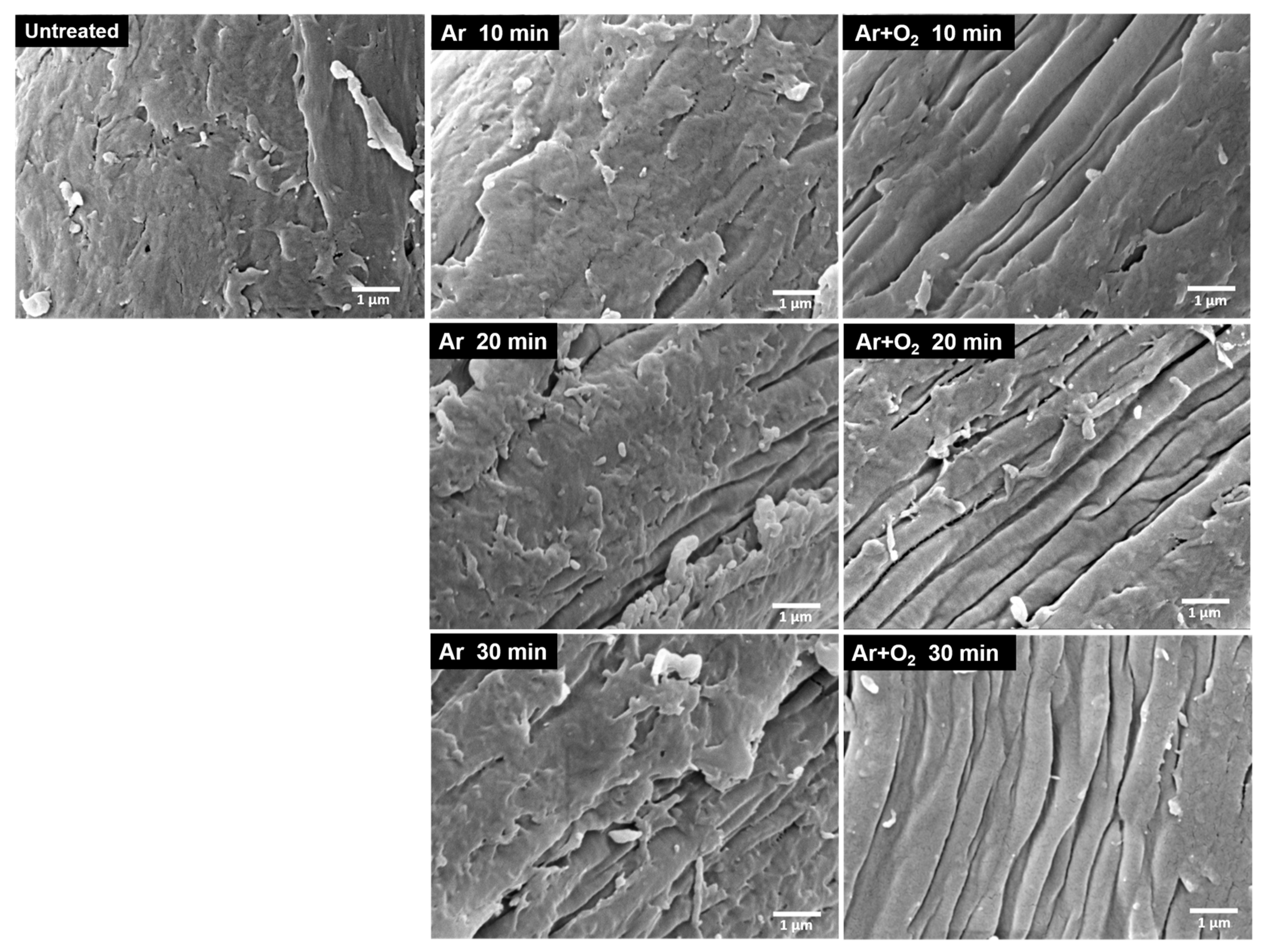 Polymers 15 01711 g009 Polymers 15 01711 g009