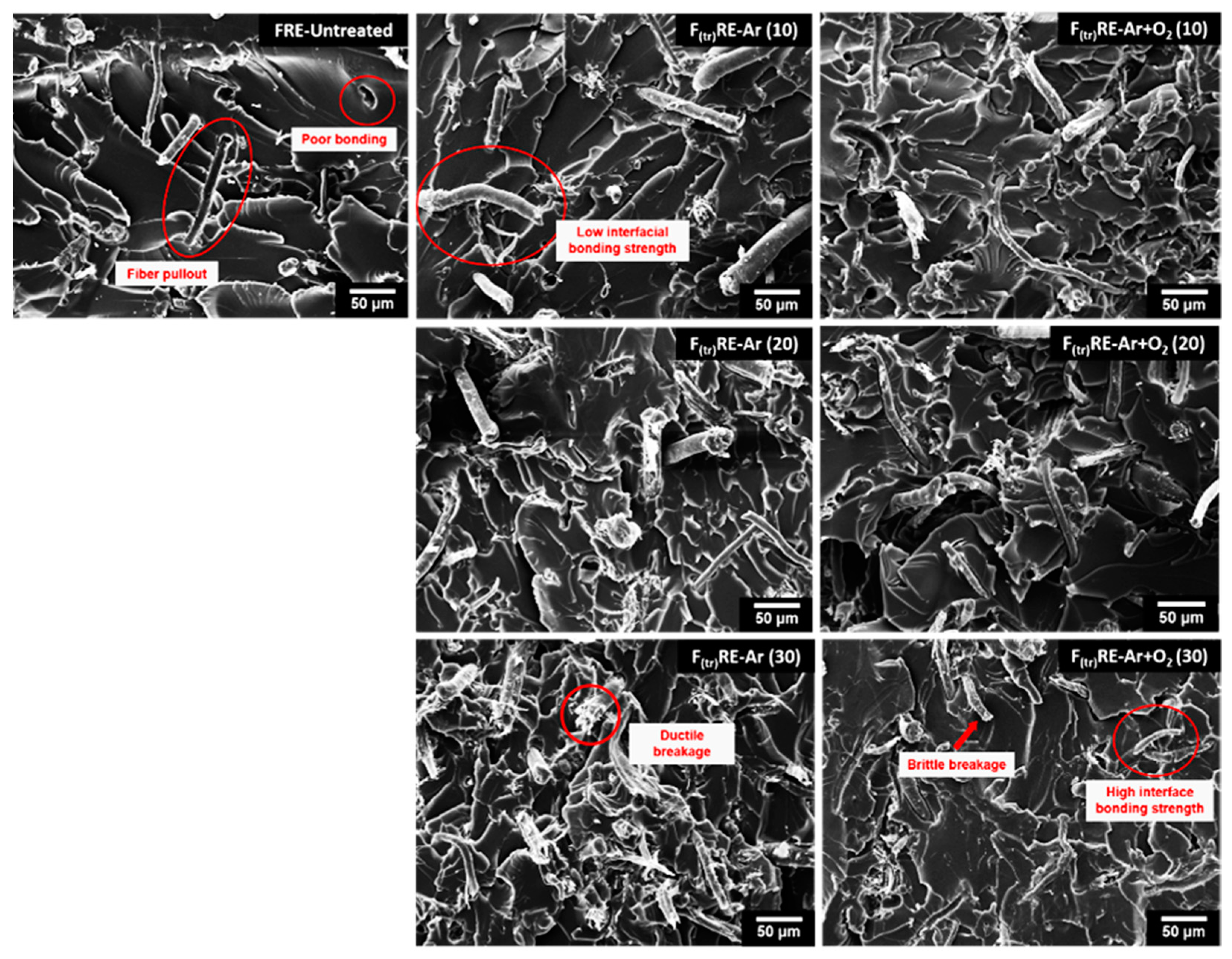 Polymers 15 01711 g011 Polymers 15 01711 g011
