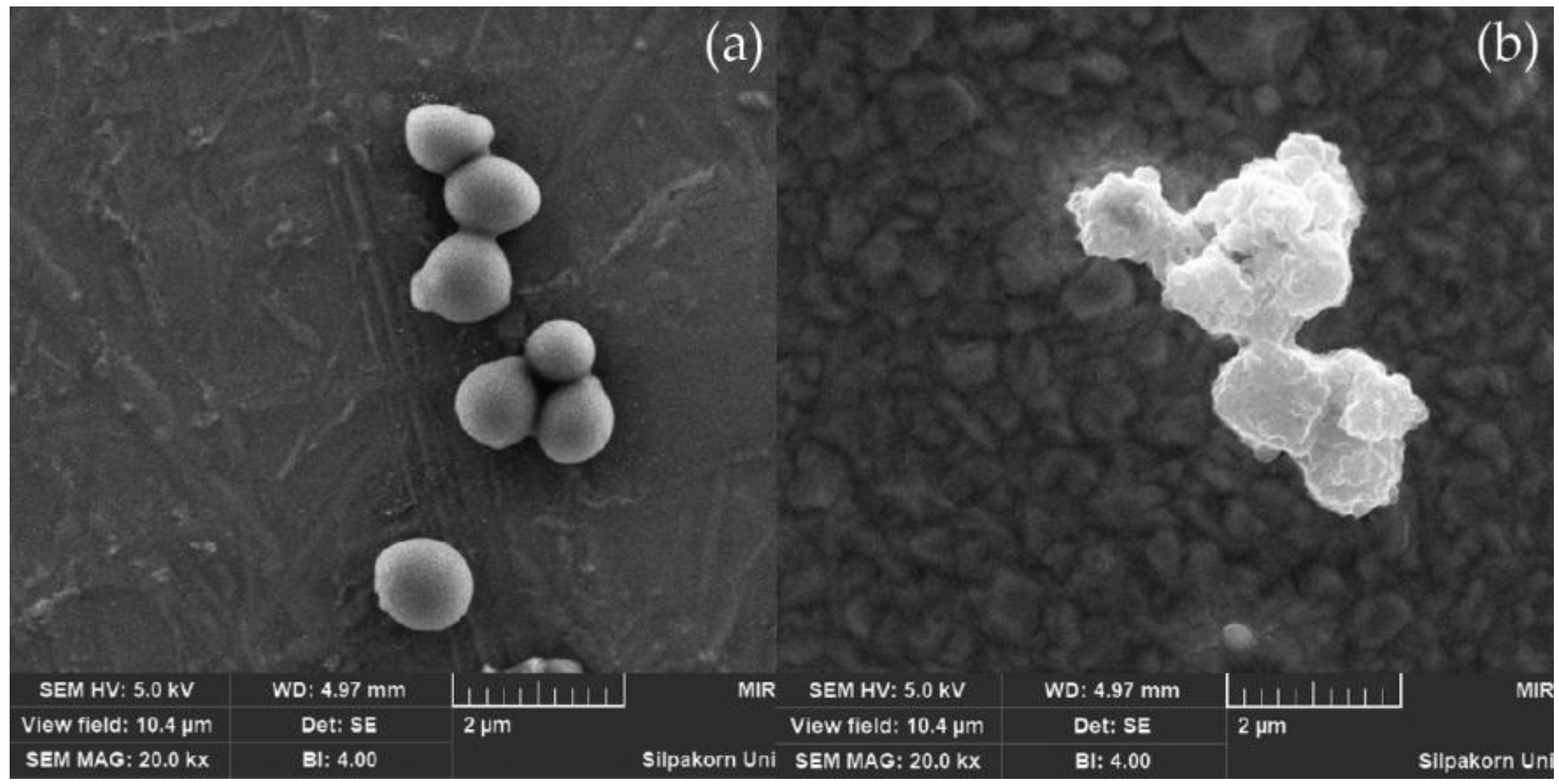 Polymers 15 01712 g002 Polymers 15 01712 g002