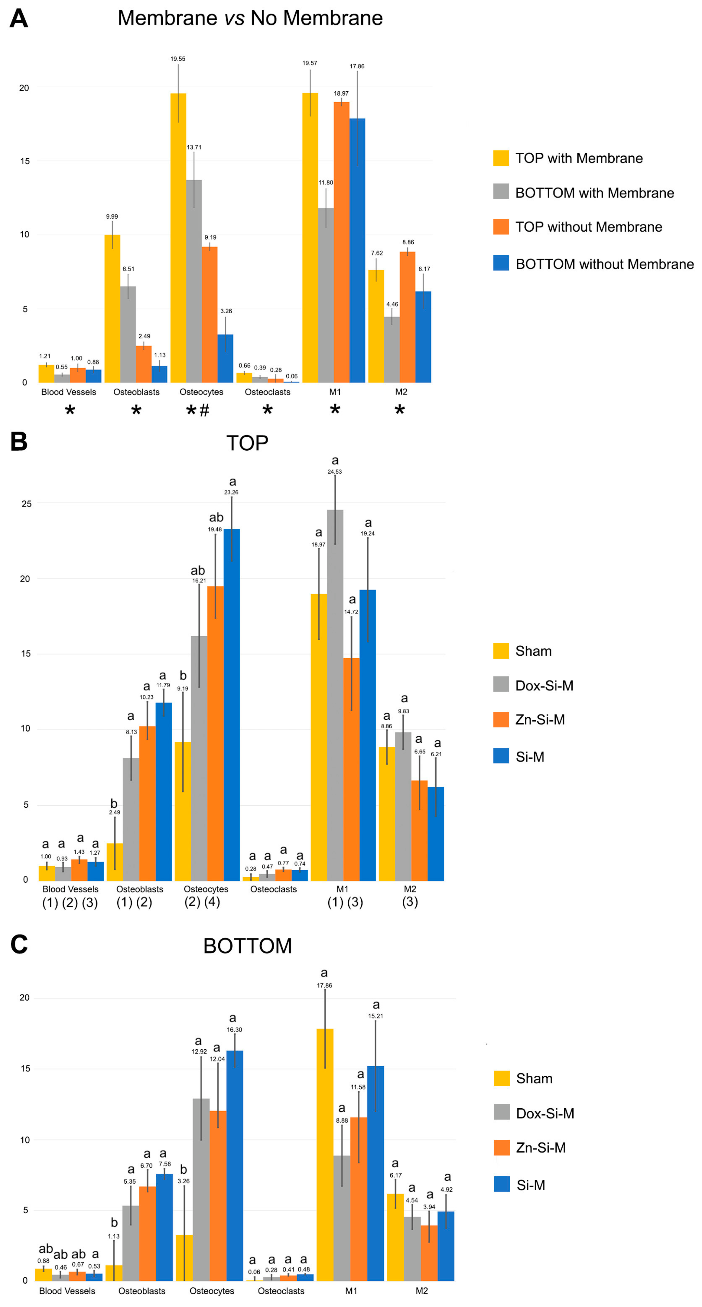 Polymers 15 01726 g002