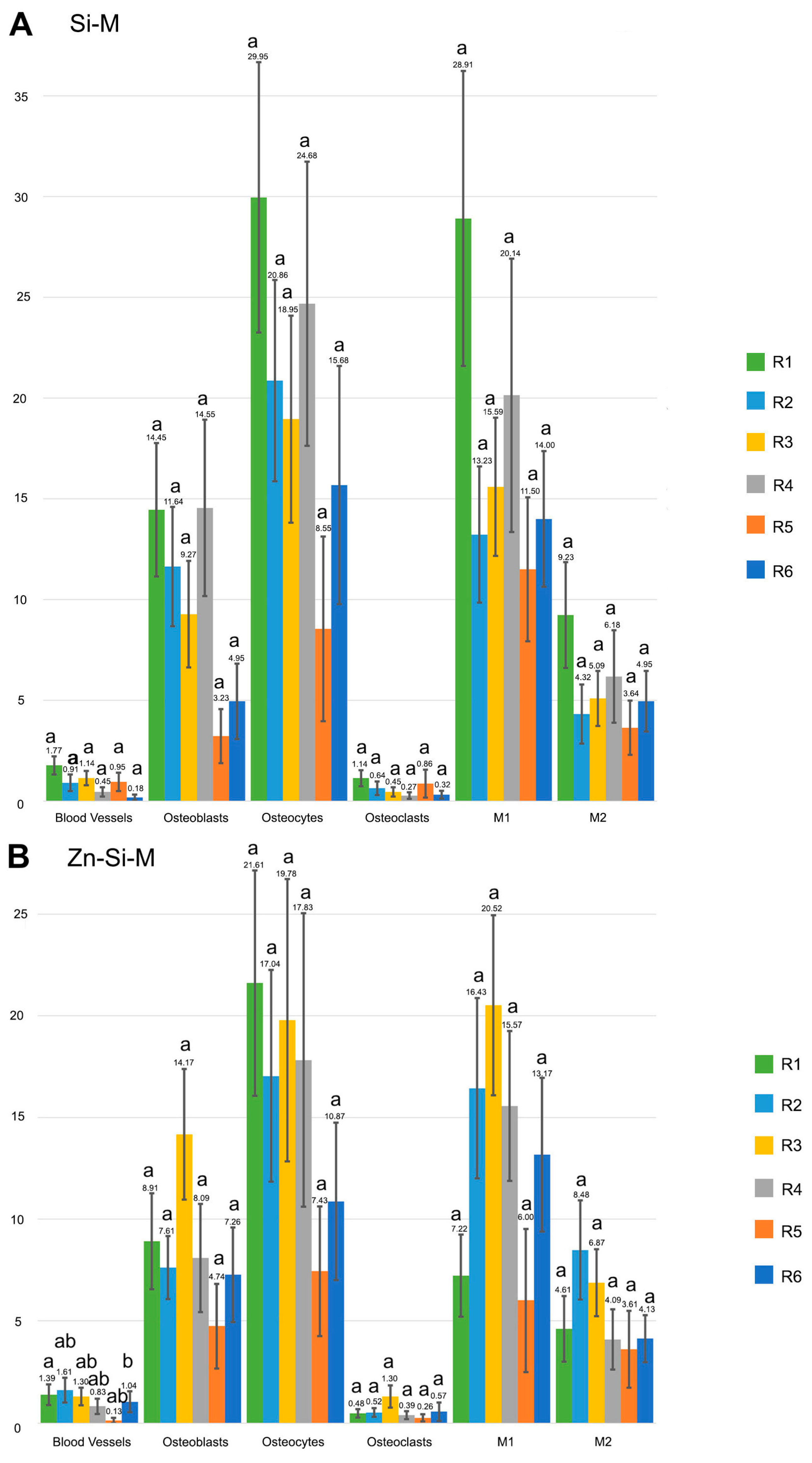 Polymers 15 01726 g004a