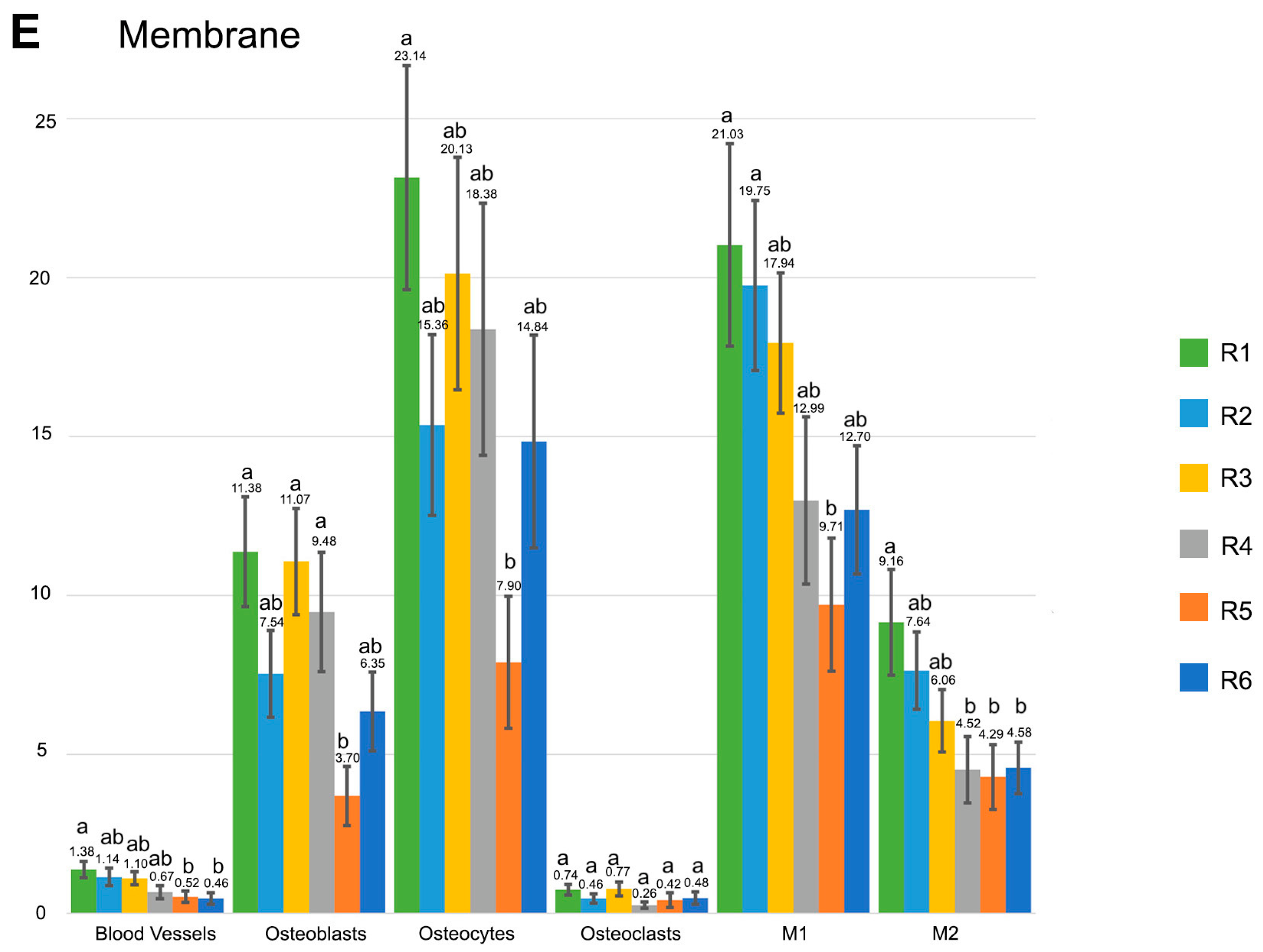 Polymers 15 01726 g004c