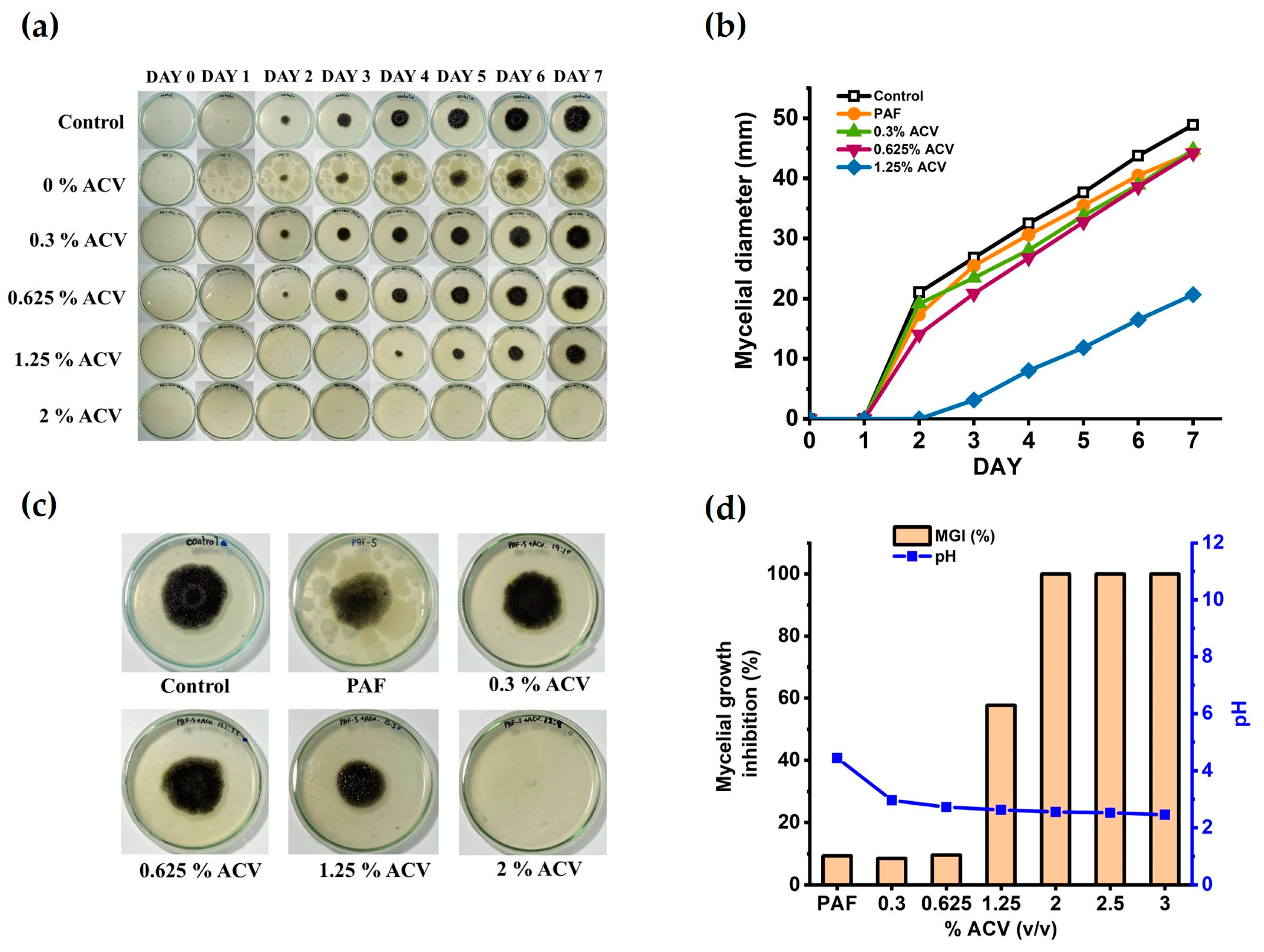 Polymers 15 01735 g002 Polymers 15 01735 g002