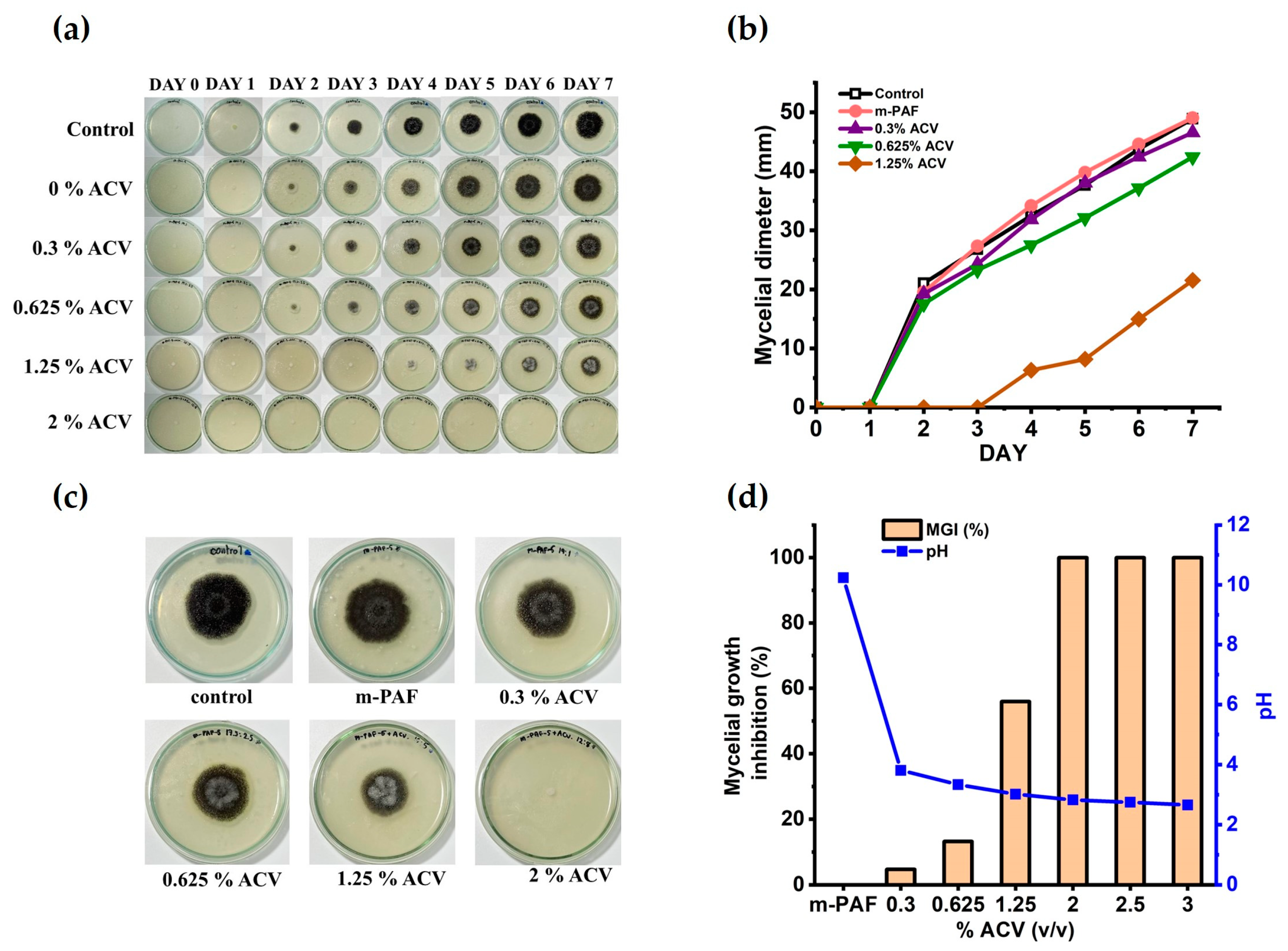 Polymers 15 01735 g005 Polymers 15 01735 g005