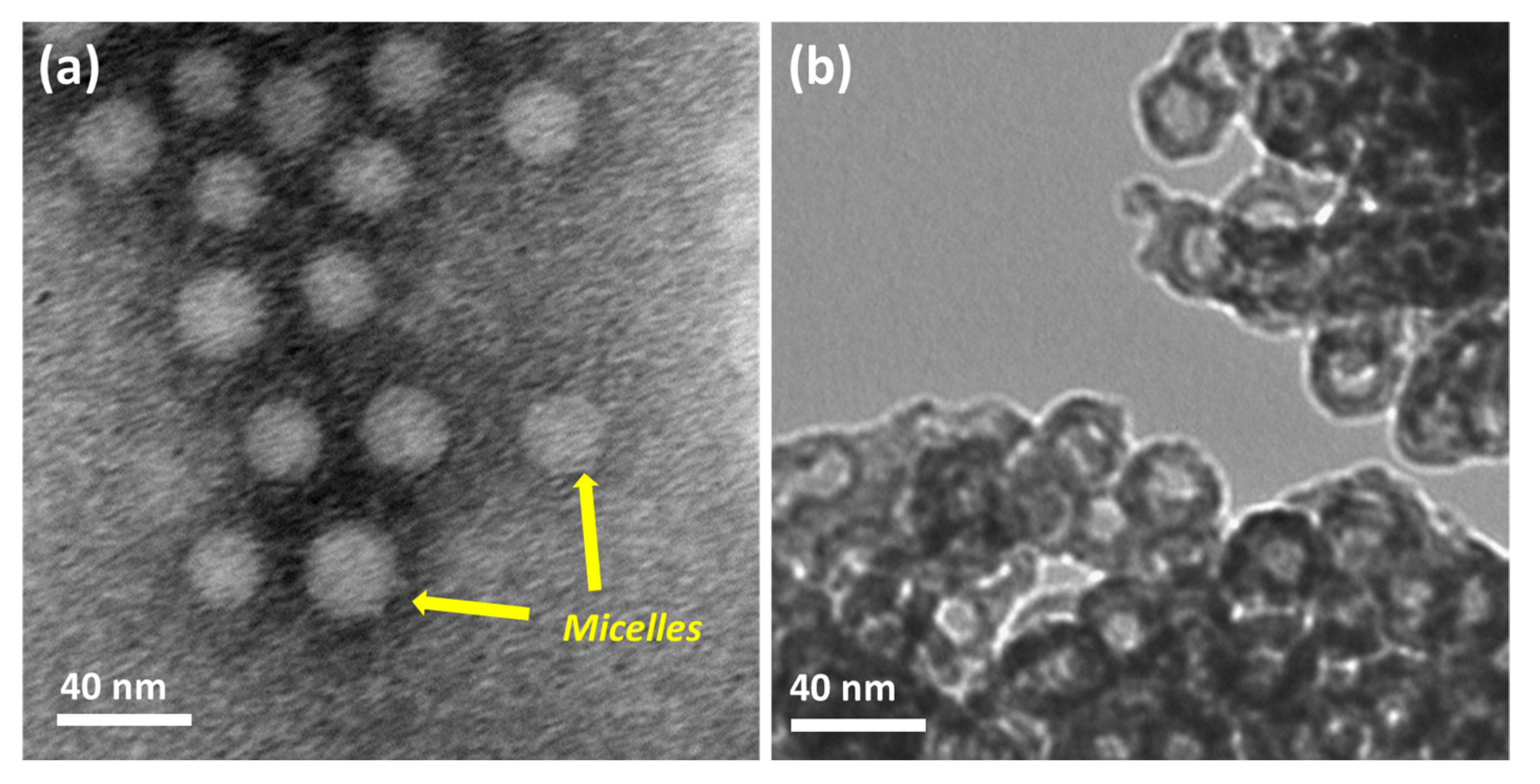 Polymers 15 01739 g004