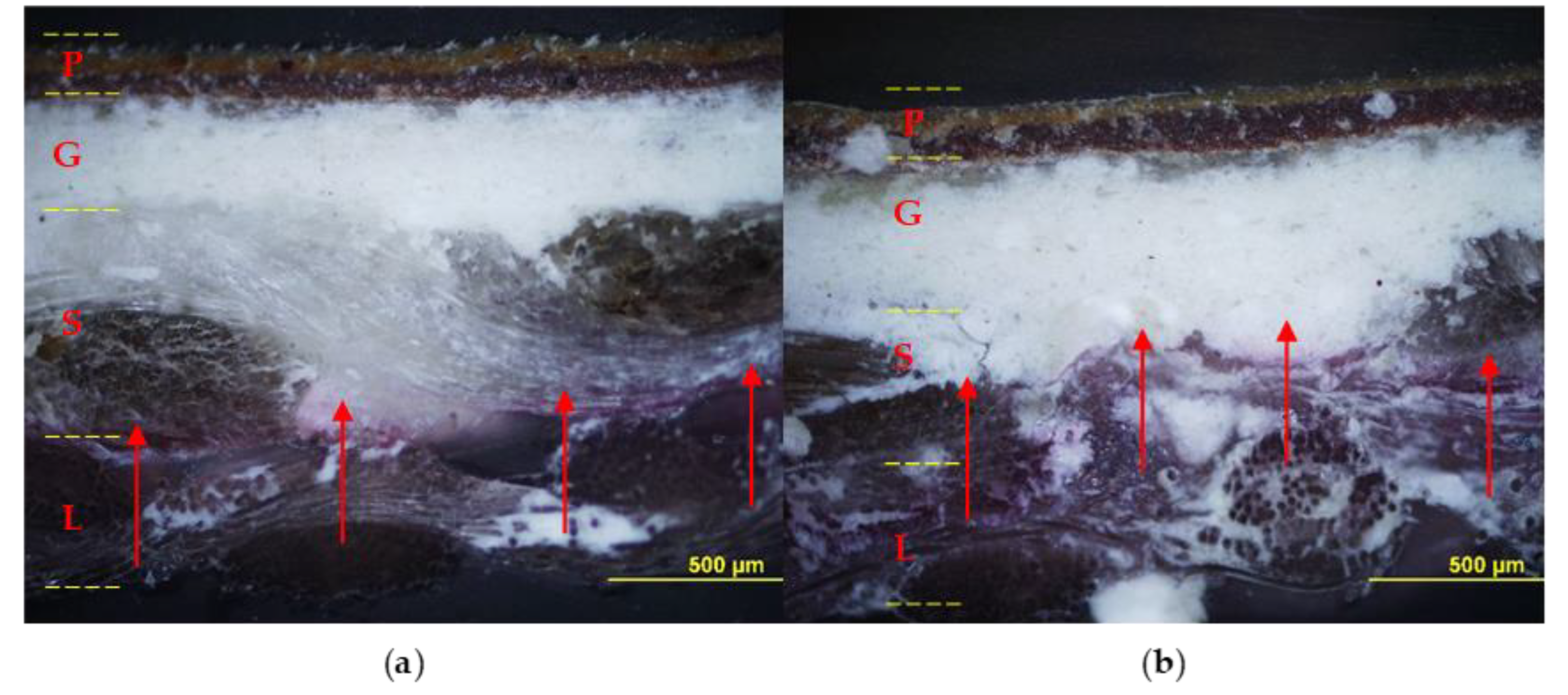 Polymers 15 01741 g008a