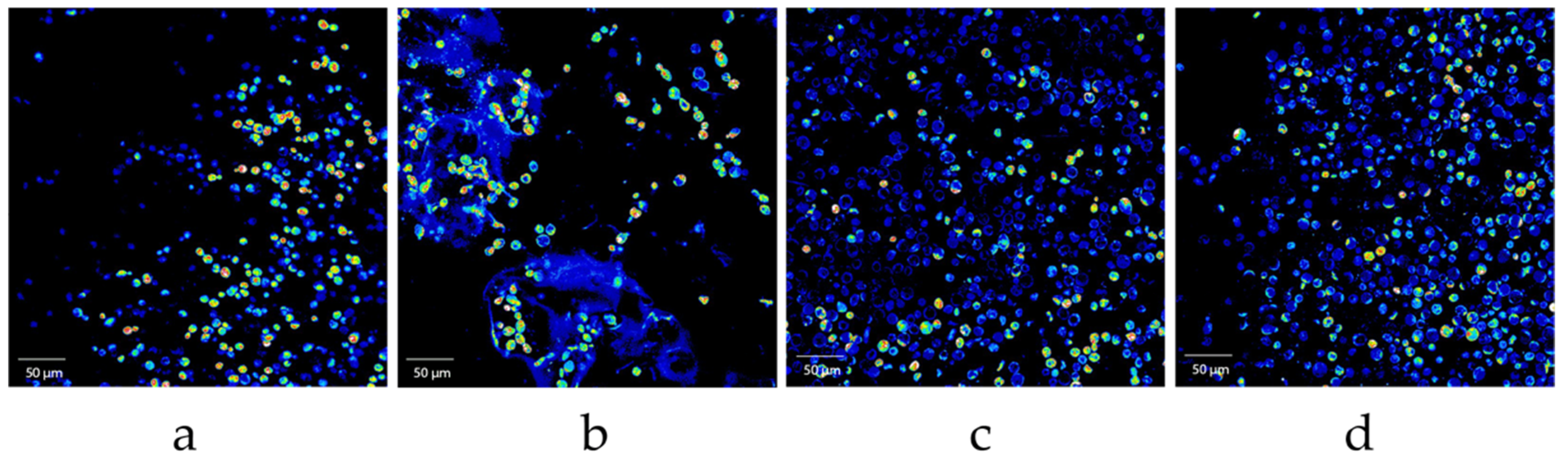 Polymers 15 01742 g012 Polymers 15 01742 g012