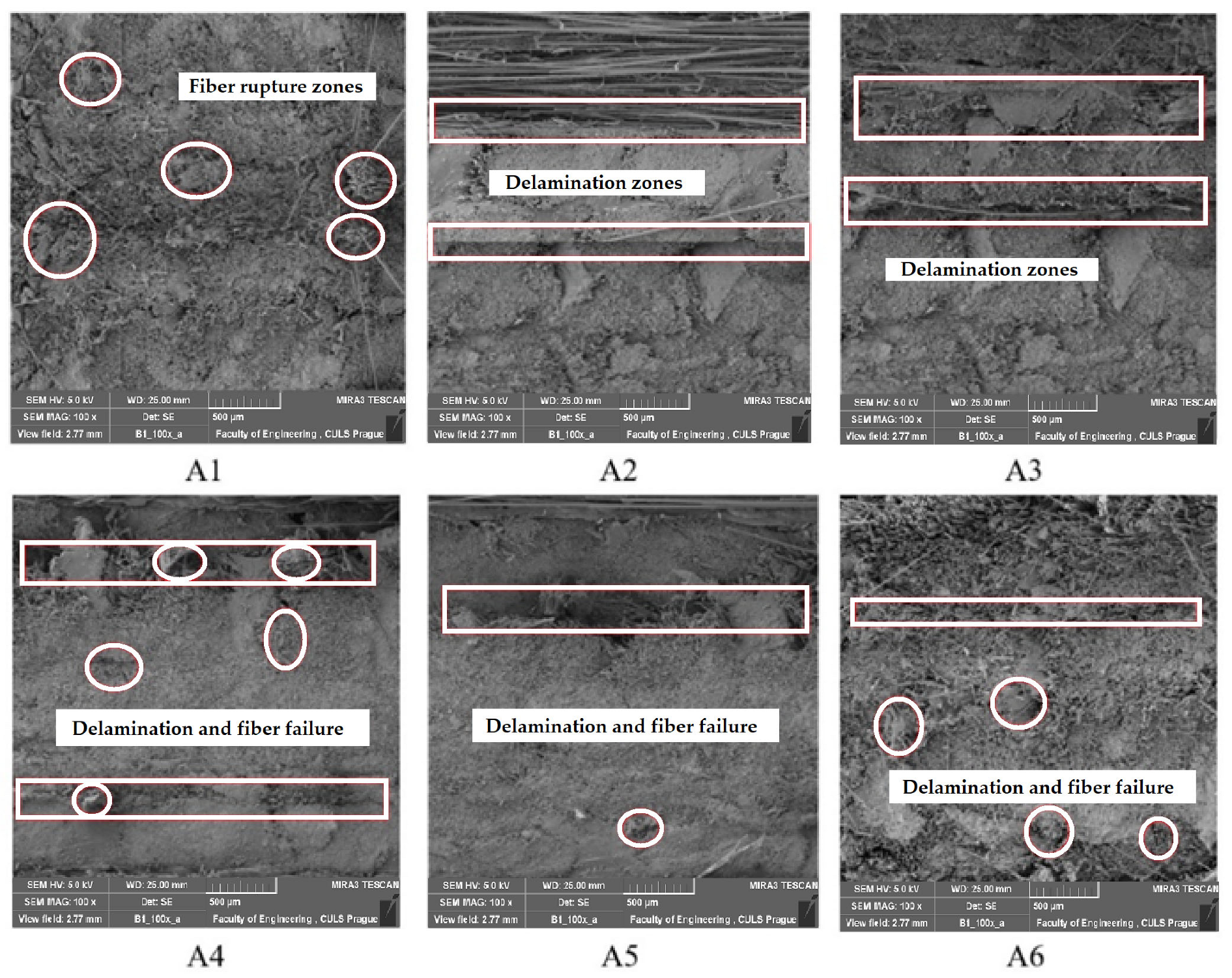 Polymers 15 01744 g010