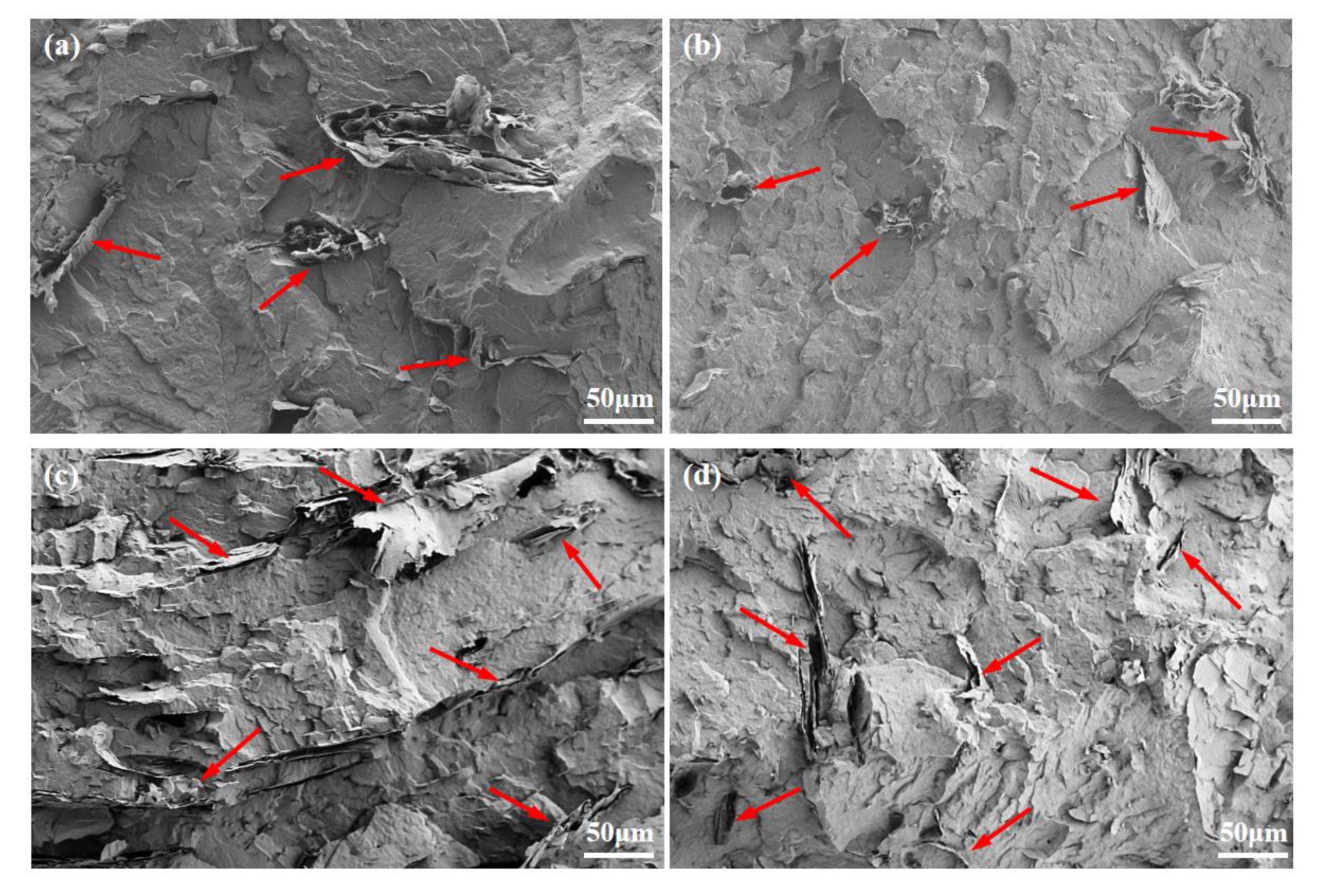 Polymers 15 01747 g001 Polymers 15 01747 g001