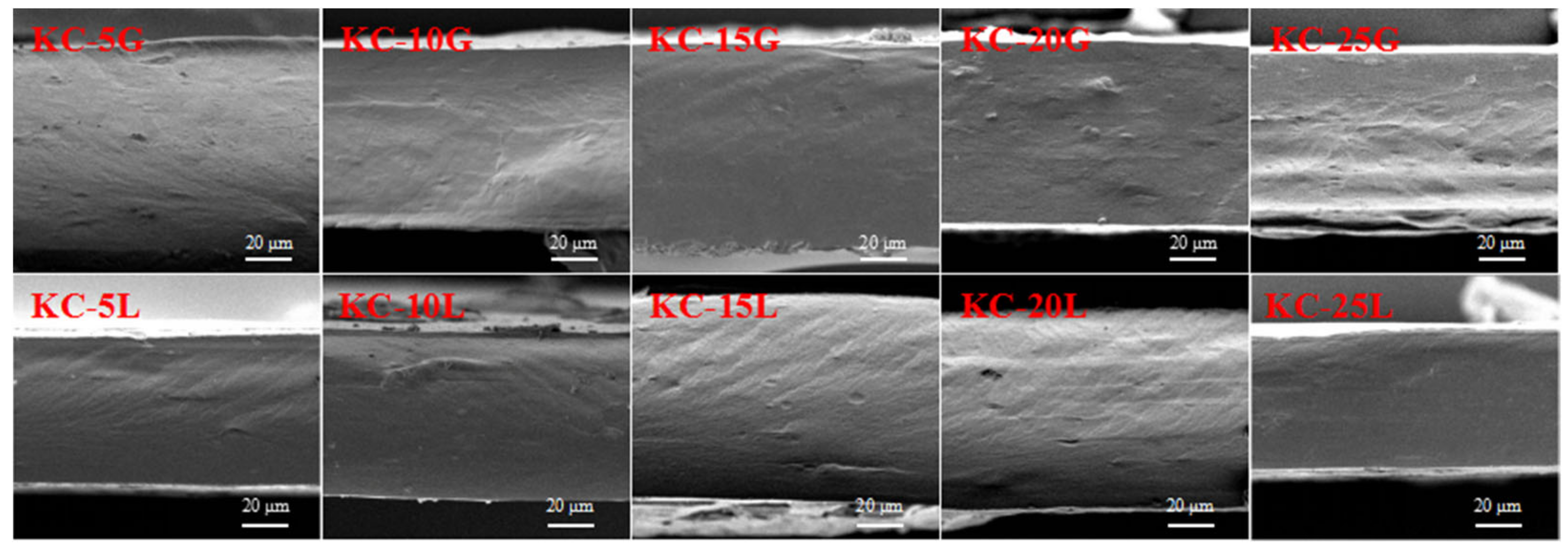 Polymers 15 01751 g002