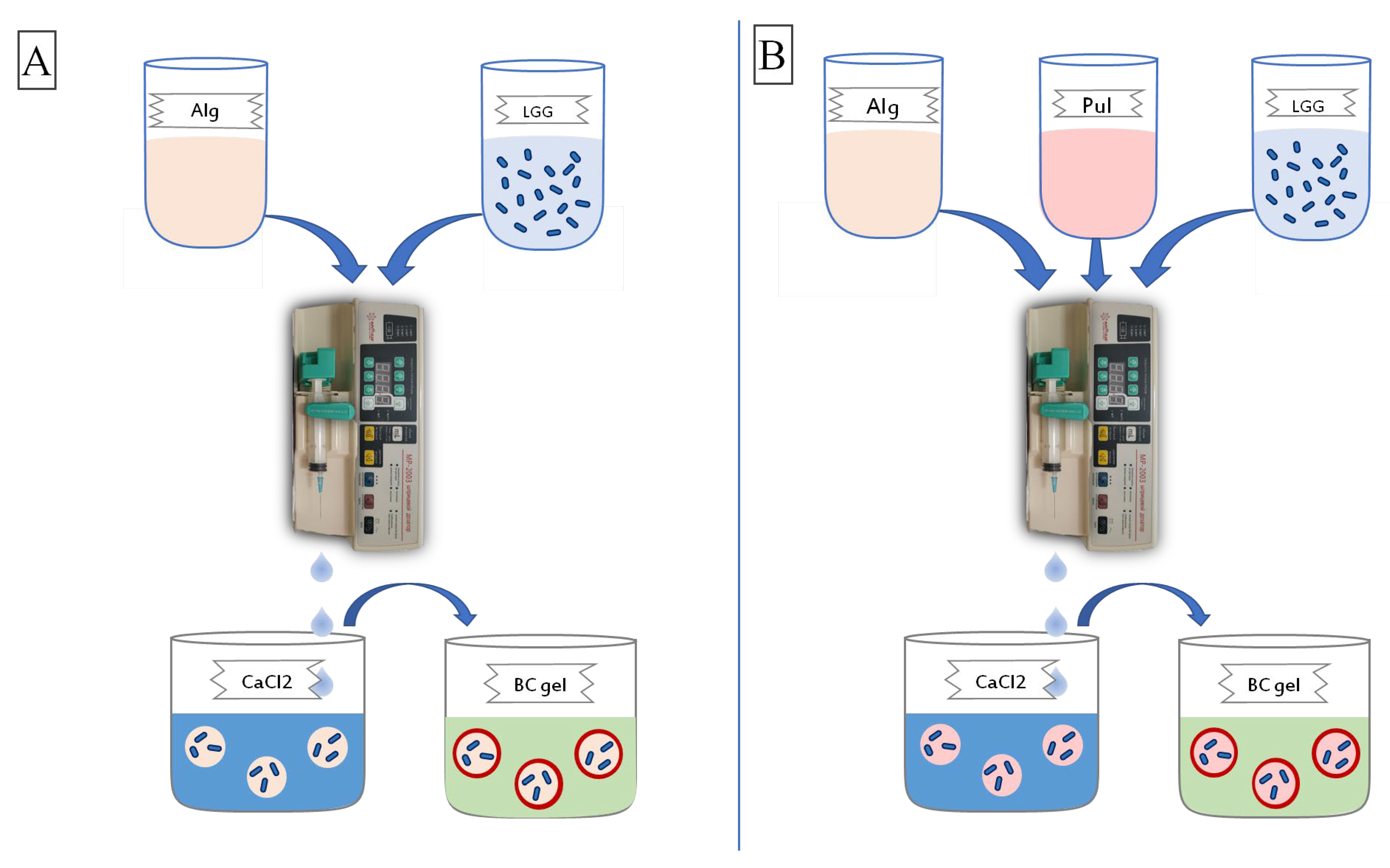 Polymers 15 01752 g001