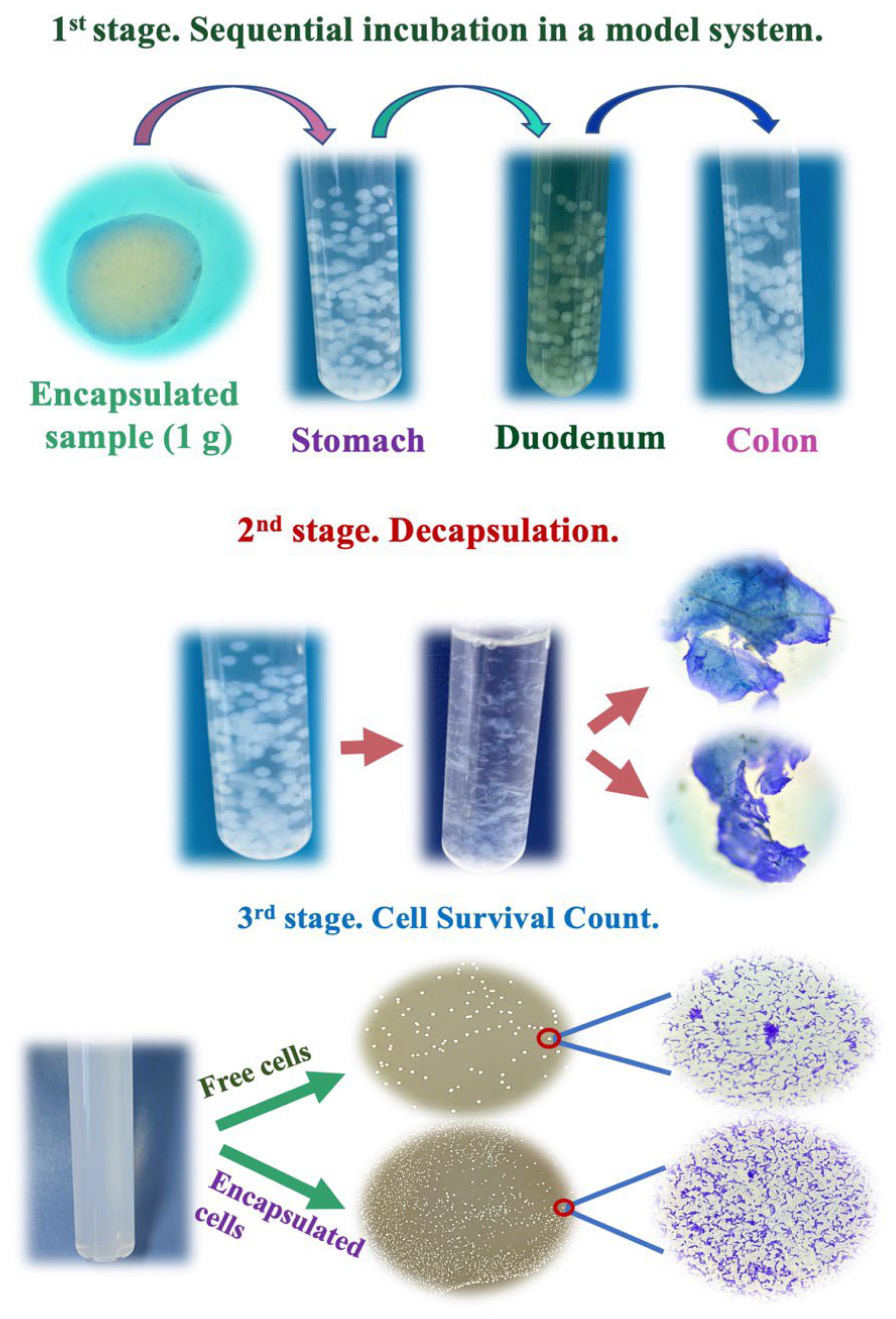 Polymers 15 01752 g004