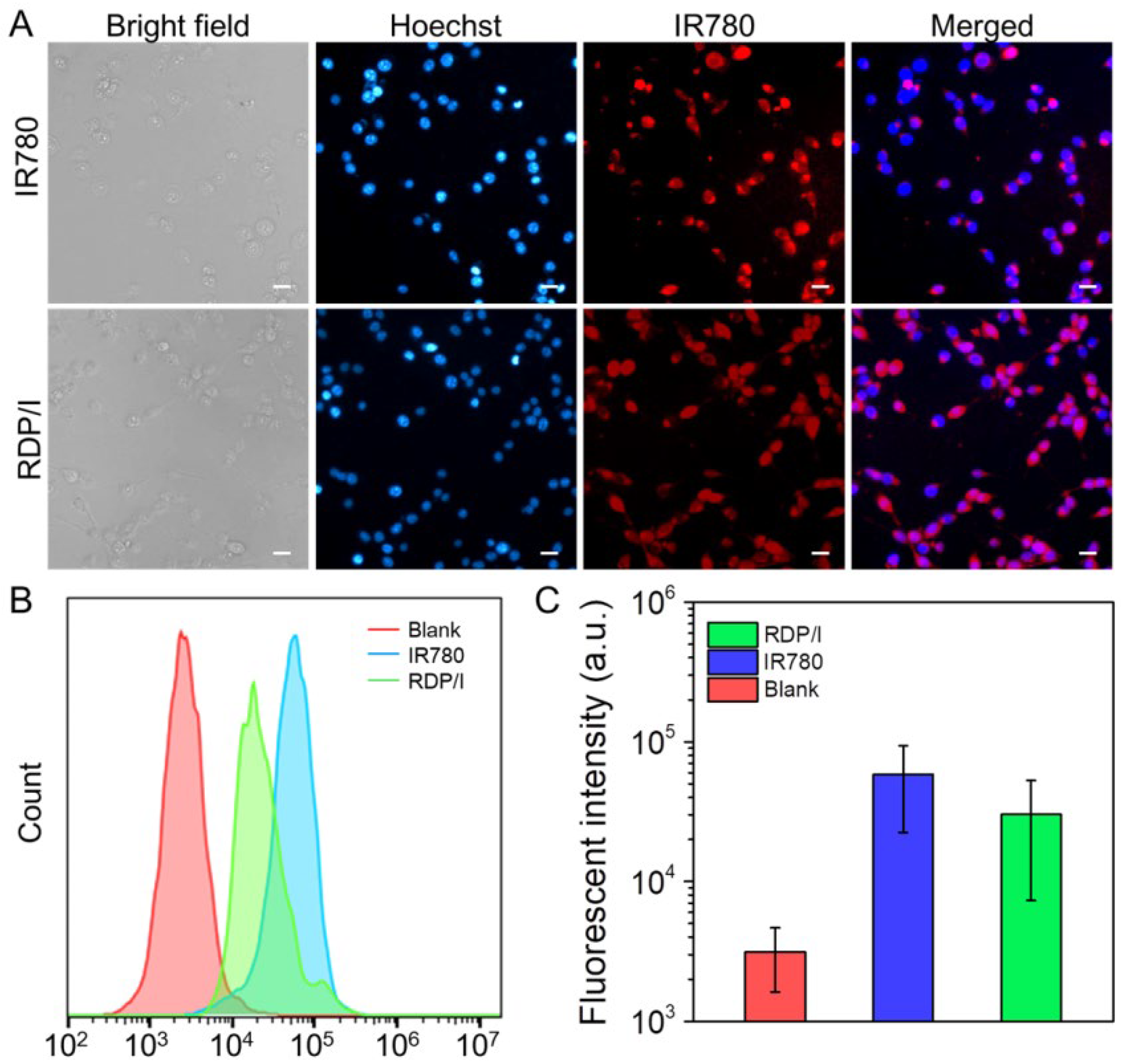 Polymers 15 01753 g005 Polymers 15 01753 g005
