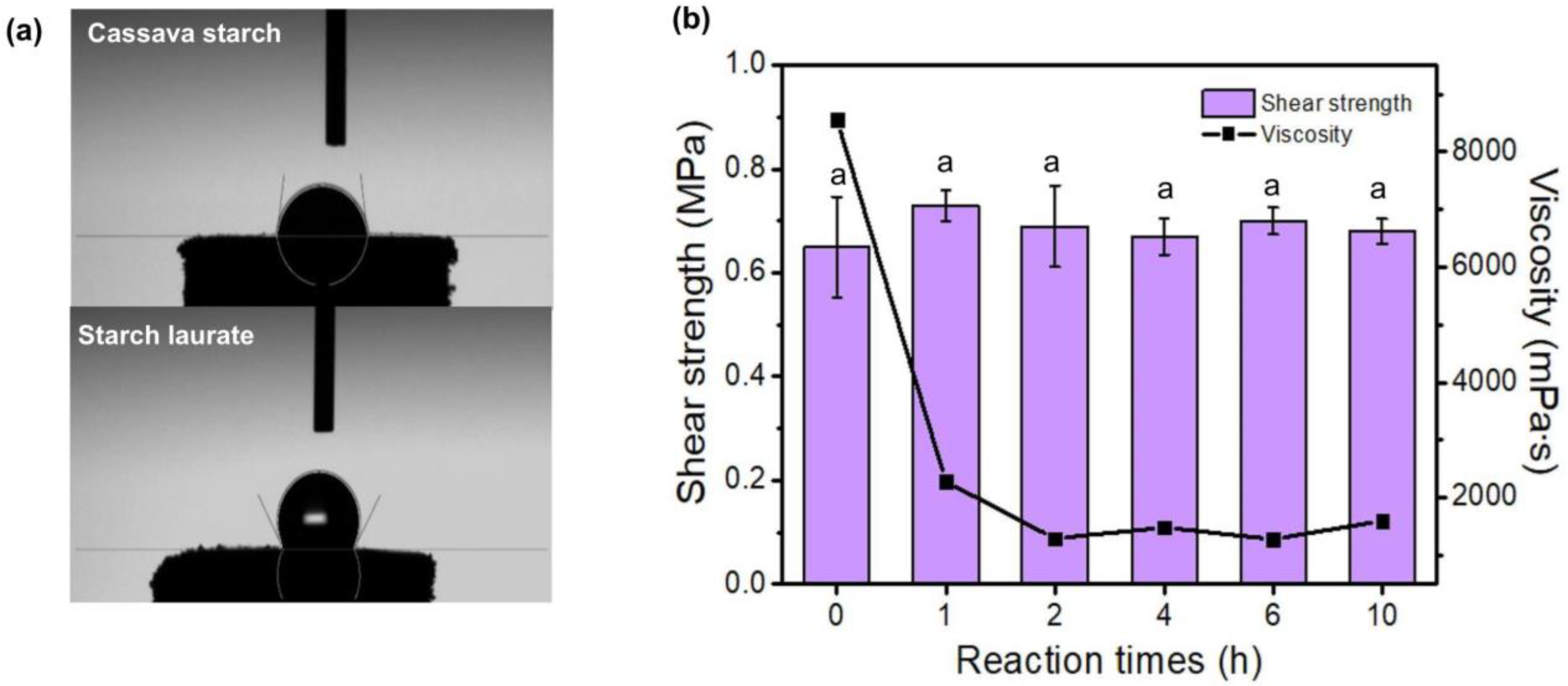 Polymers 15 01754 g005 Polymers 15 01754 g005