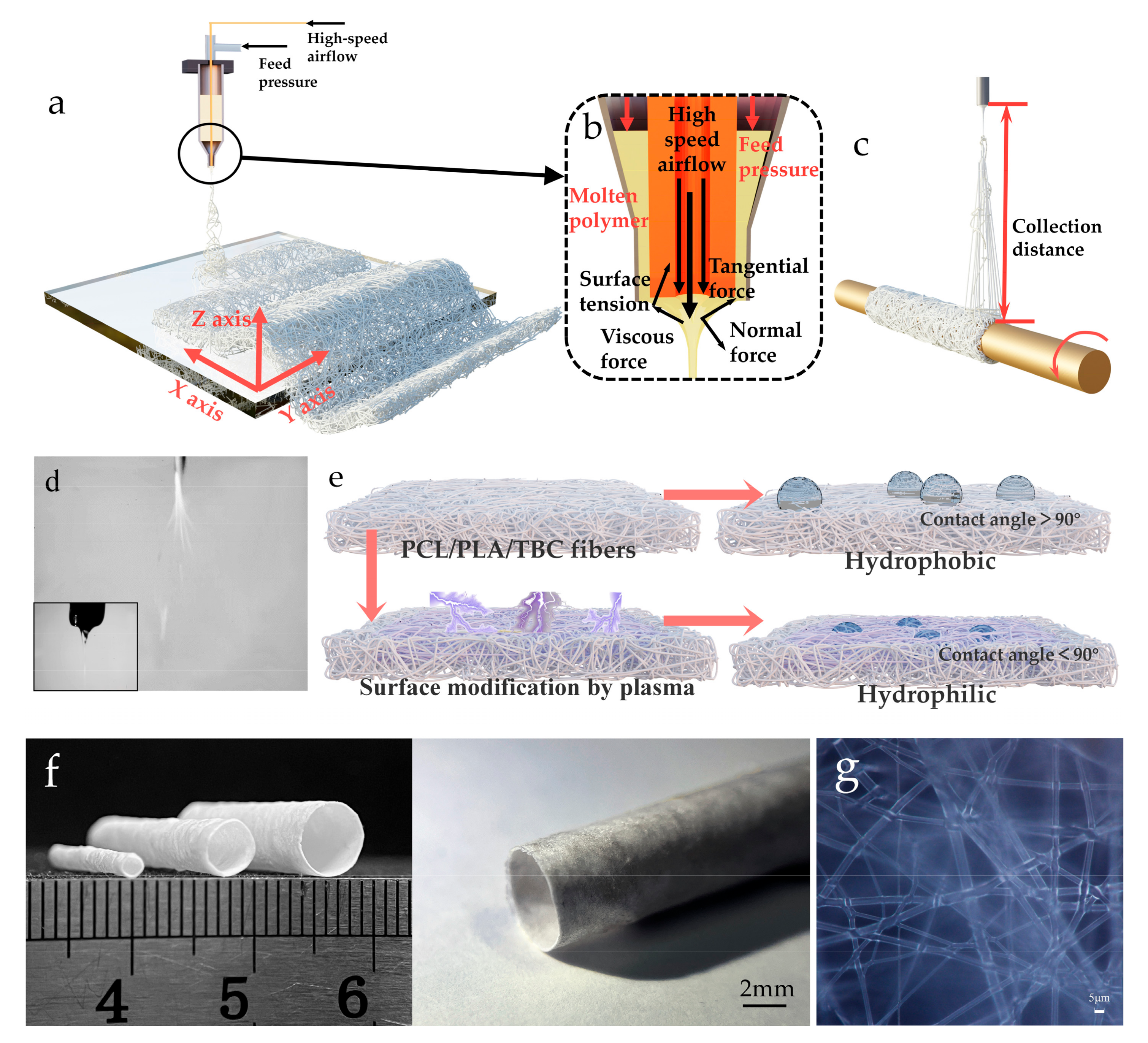 Polymers 15 01755 g001